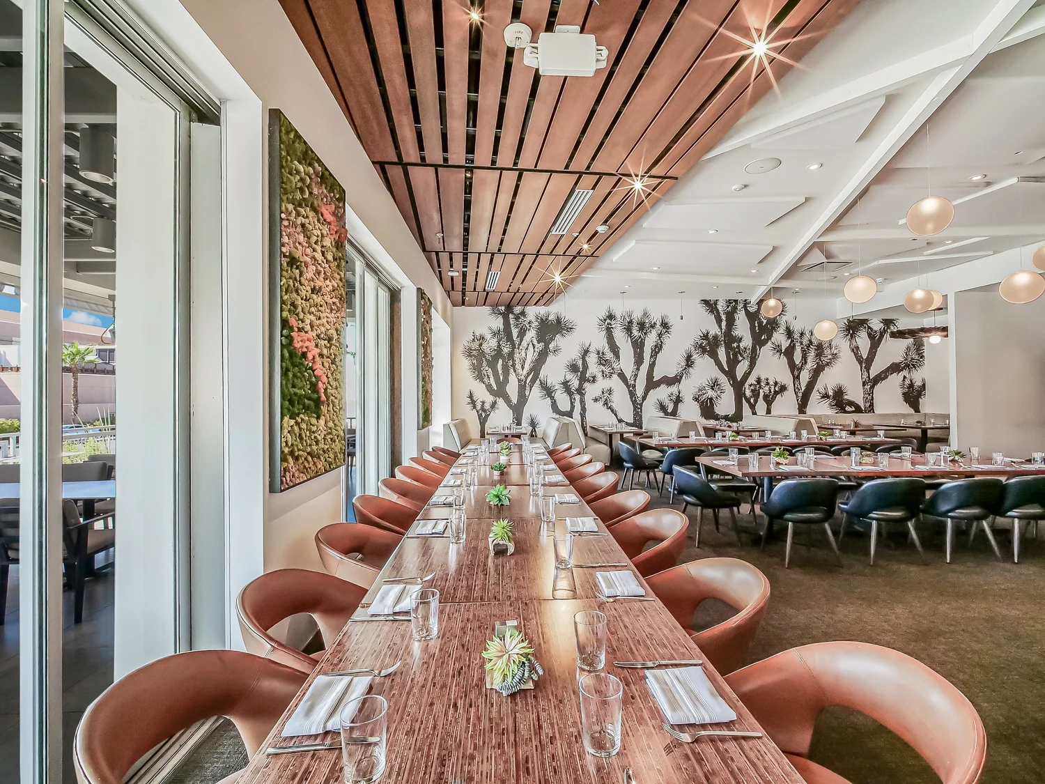 Restaurant interior with warm wood and soft natural light