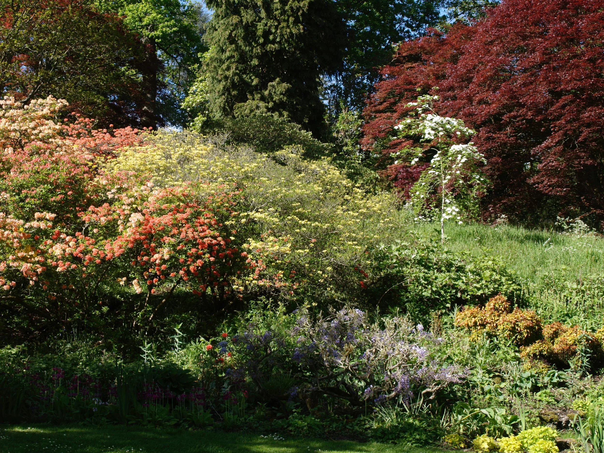 a PEACEFUL WALK THROUGH ENGLEFIELD GARDENS