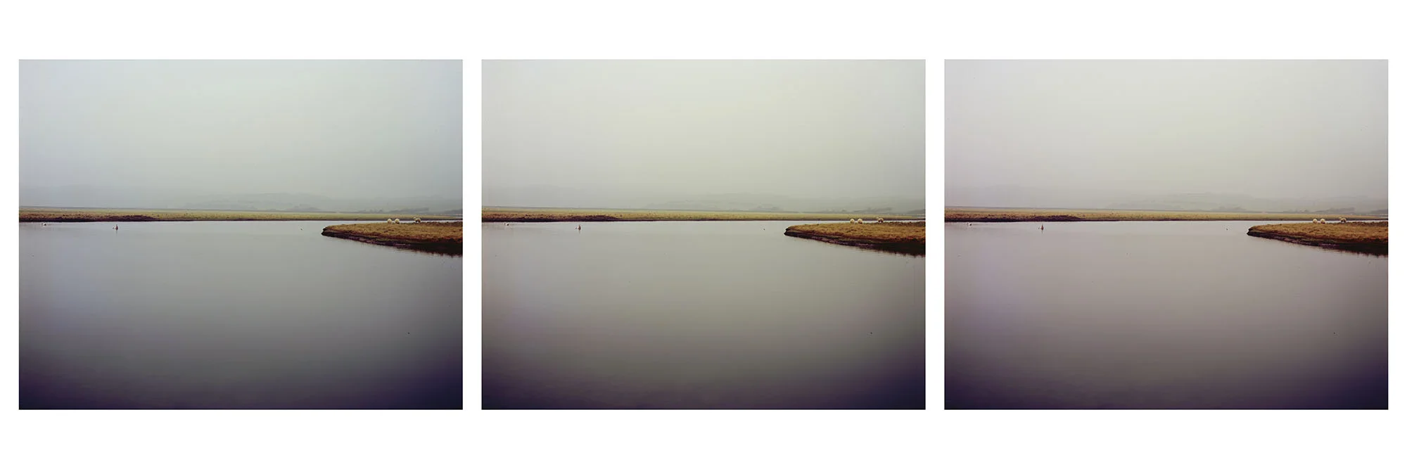 LAKE.jpg