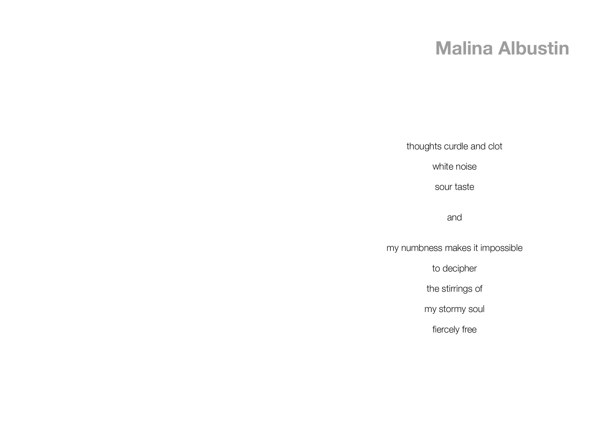 BA3 BOOK Malina final210.jpg