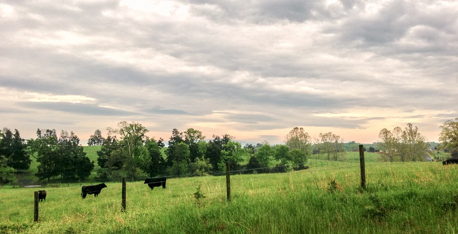 About a mile from my shop.