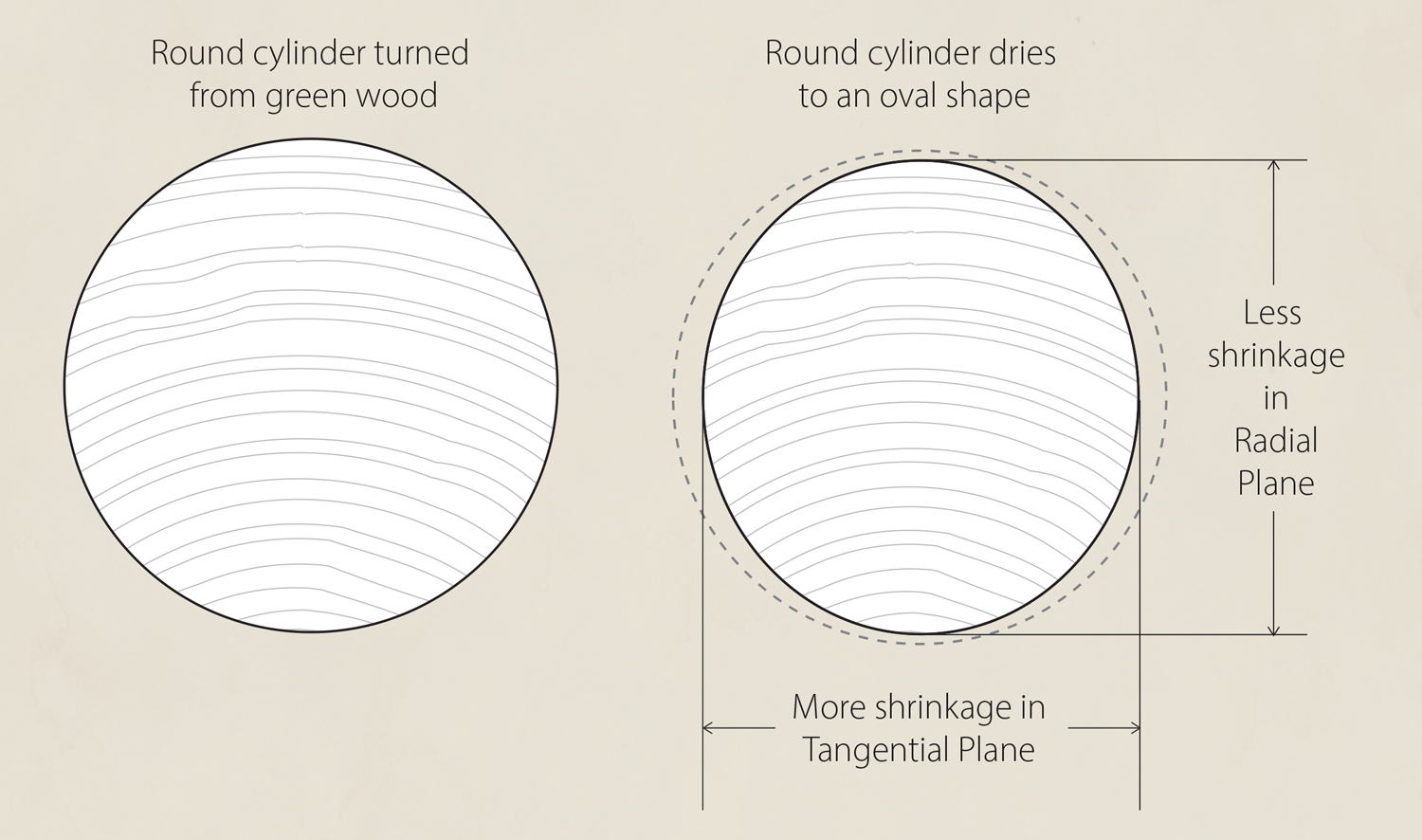 Drying a cylinder changes its shape from round to oval