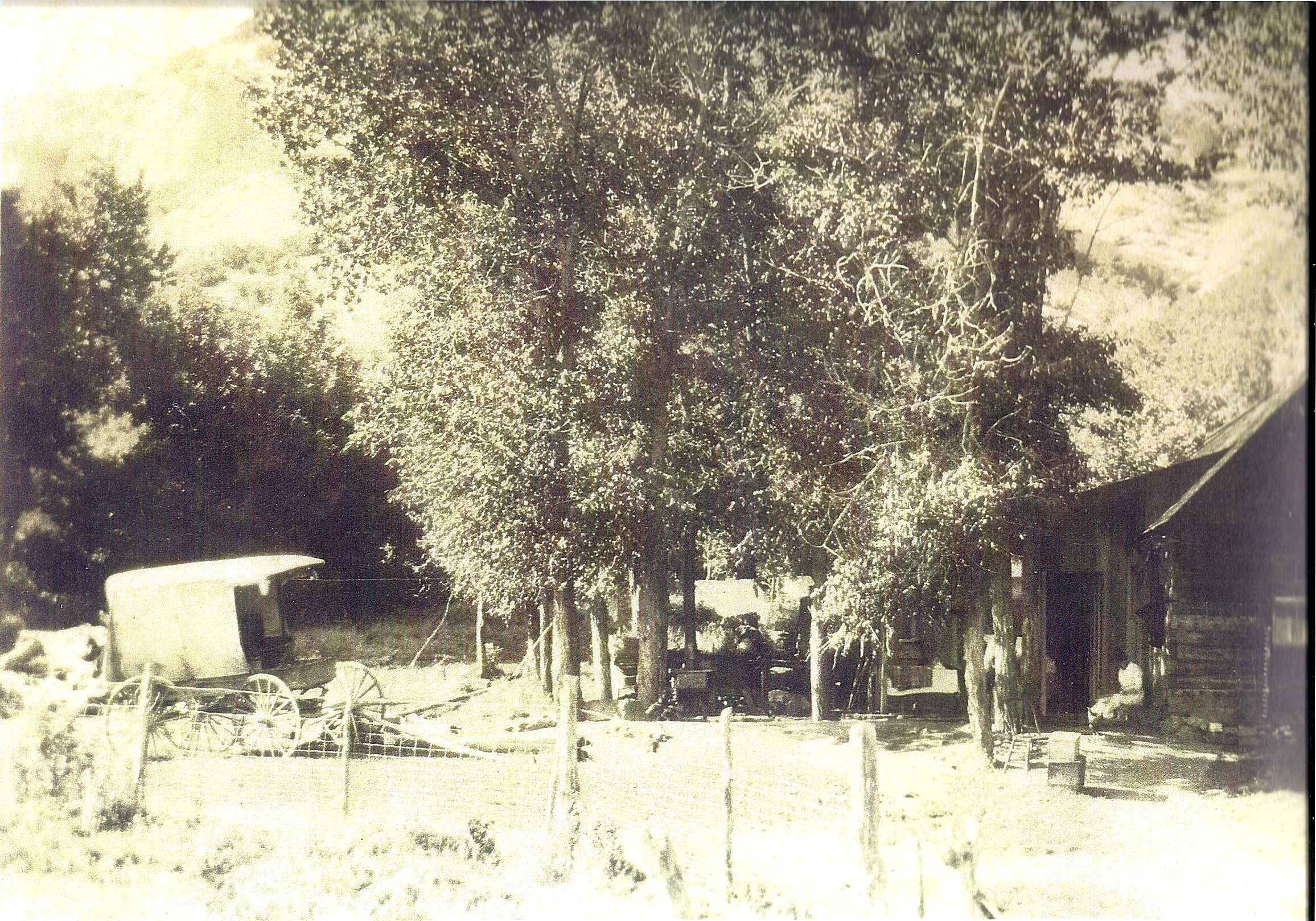 scan0055a.jpg