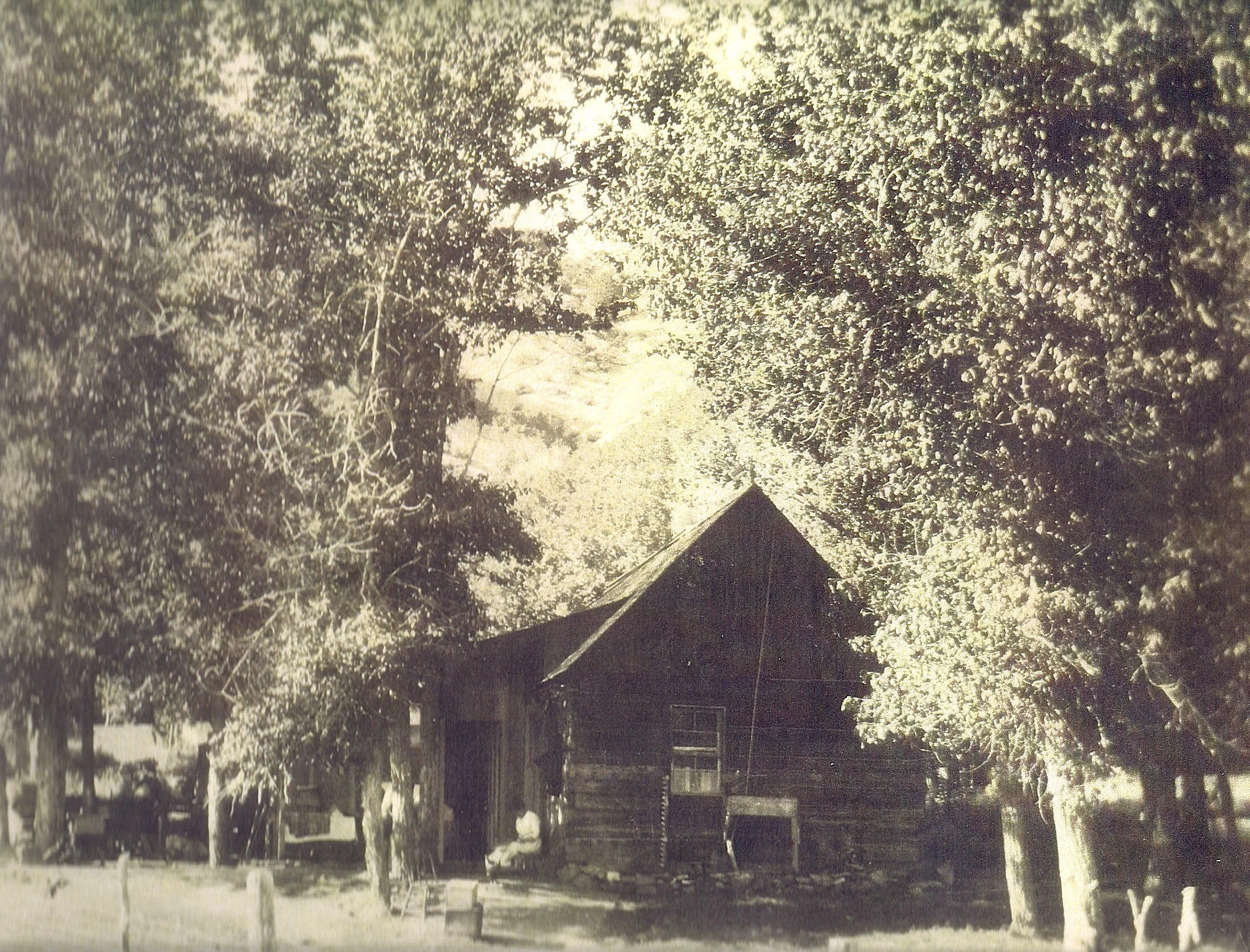 scan0054a.jpg