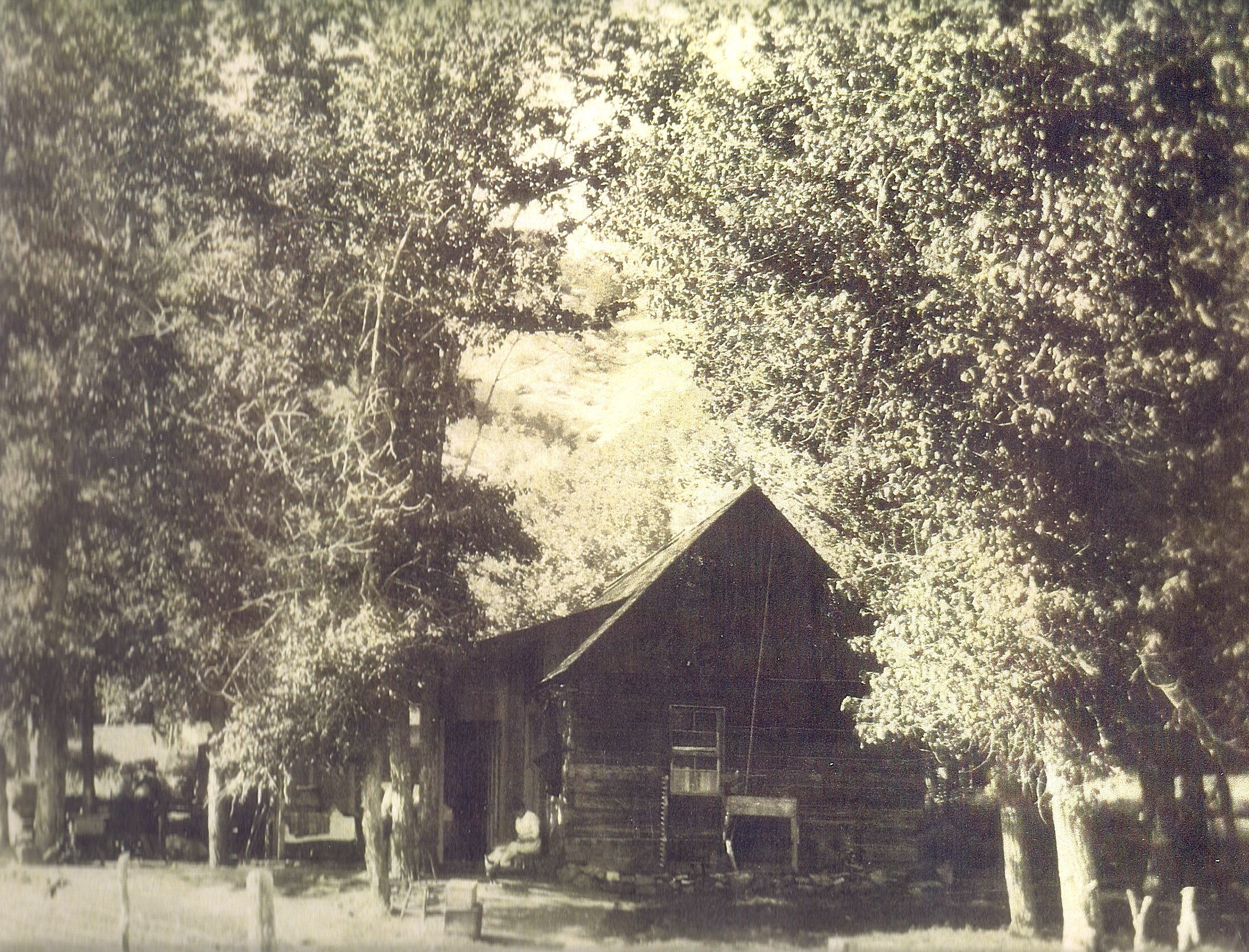 scan0054a.jpg