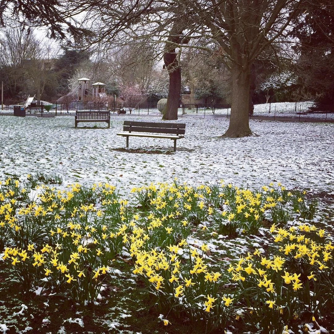 Does this make you think Winter&rsquo;s dragging on? Or that Spring is on its way? How we view things has a big impact on how we live our lives. If you&rsquo;re a glass half-empty kind of a person, you can learn how to develop a more positive outlook