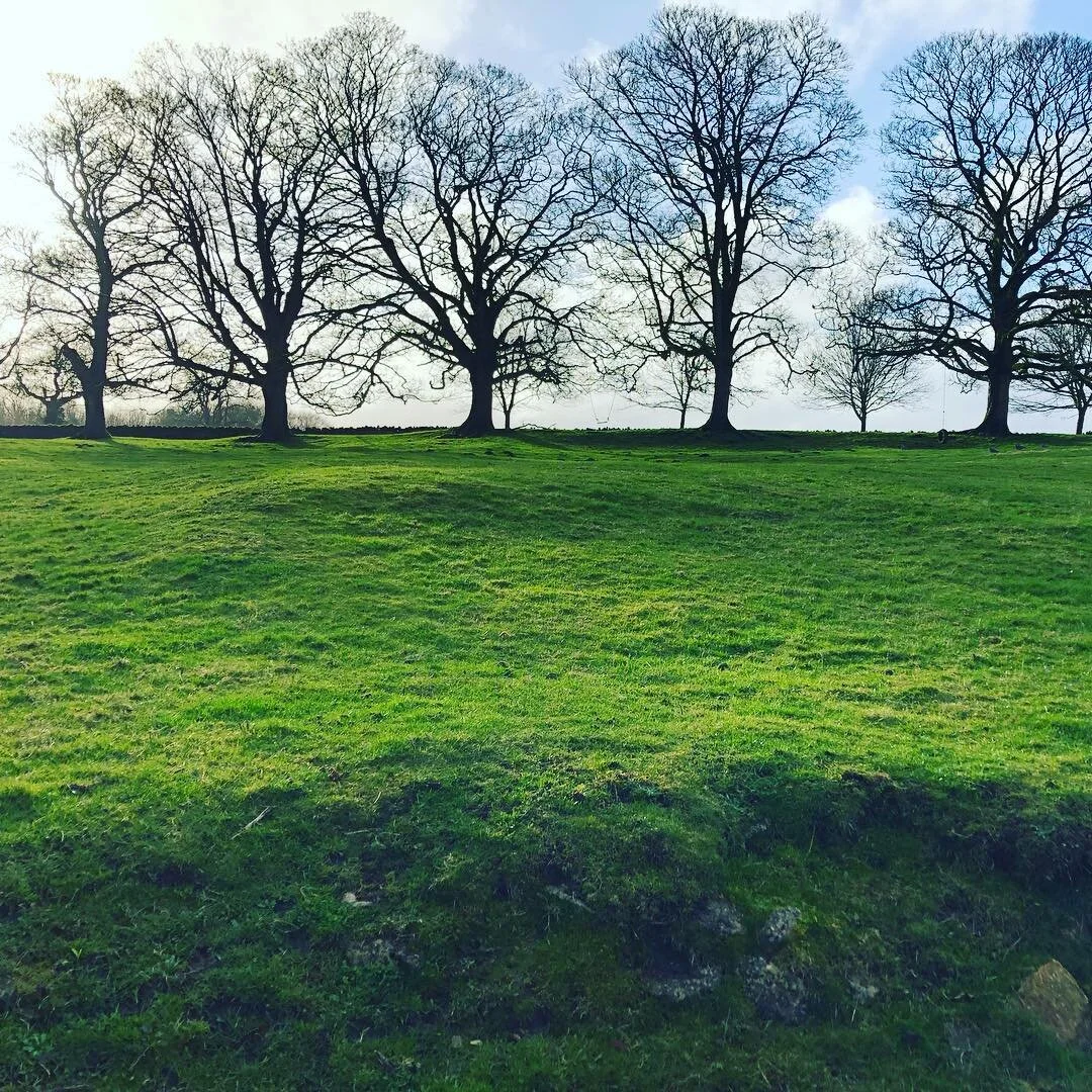 And that&rsquo;s a sunny wrap to my 30s @billydelread .
.
.
.
.
.
#lifebeginsat40
#timeawayfromthesmallpeople#countryliving
#freshairfreshmind 
#bestthingtoday 
#bestlife