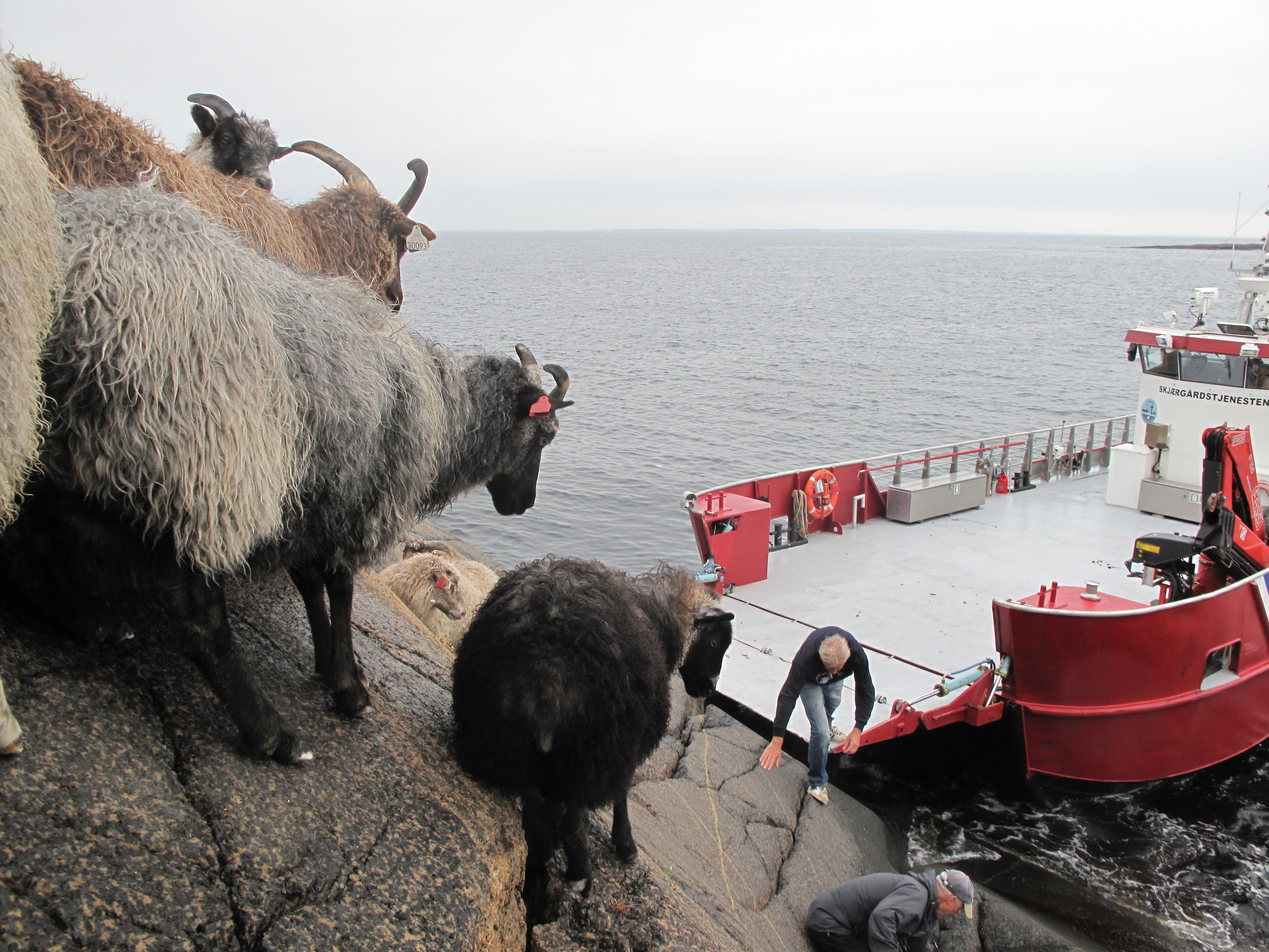 Store Færder aug 15 031.JPG