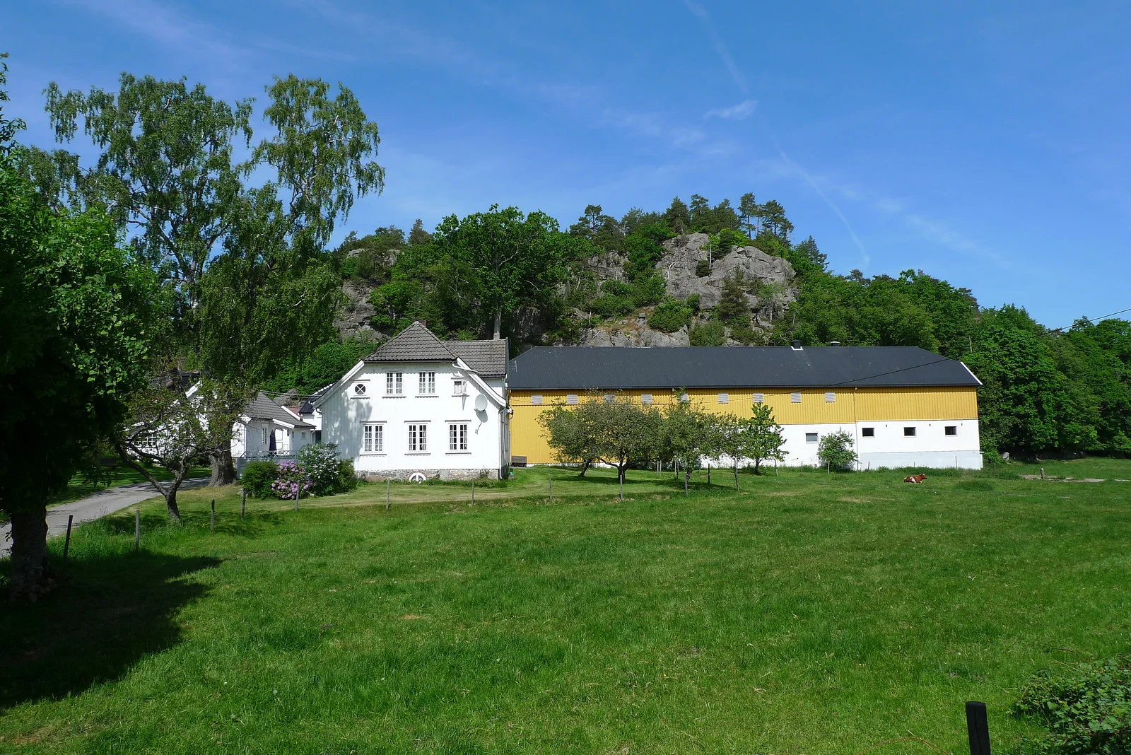 Skauen Gård.jpg