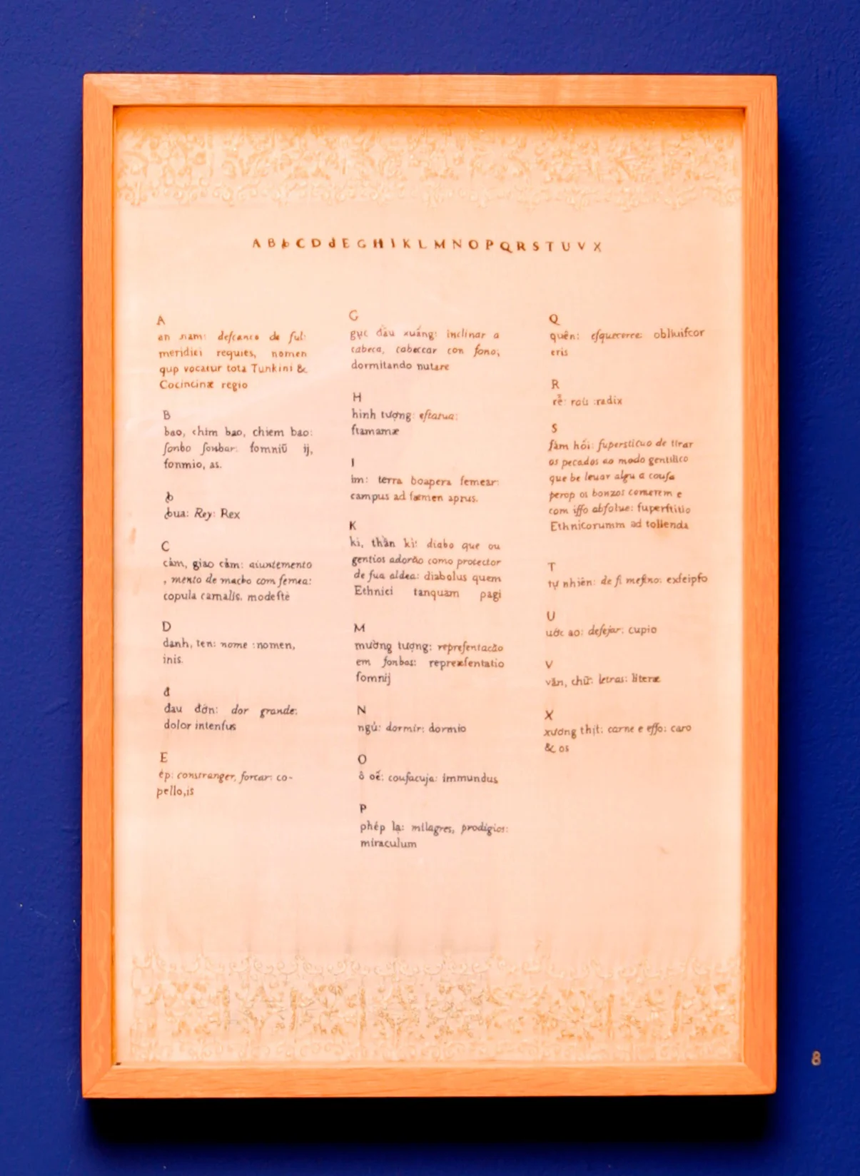 the alphabet.jpg