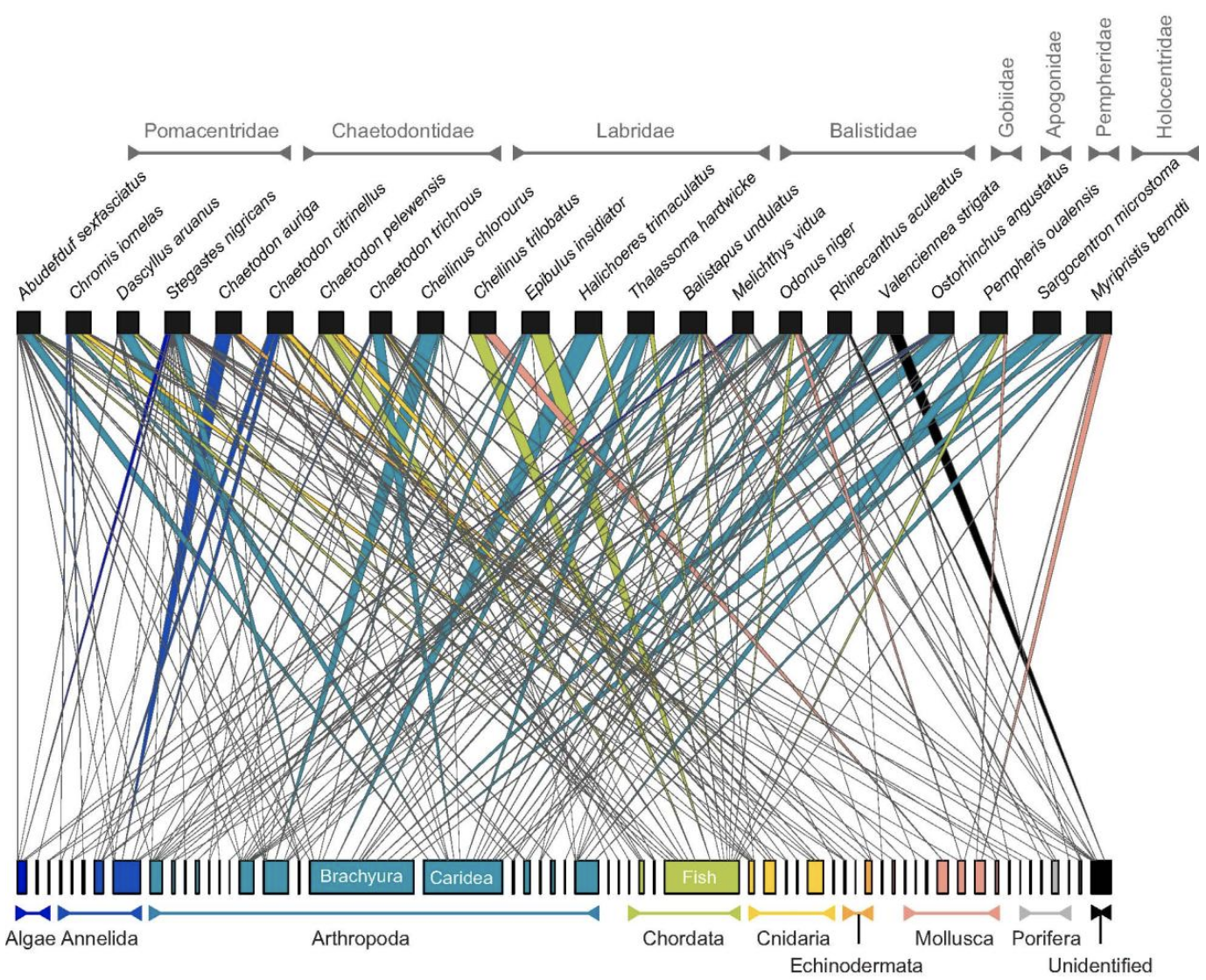 A bipartite network showing trophic interactions between 22 reef fish species and their prey.