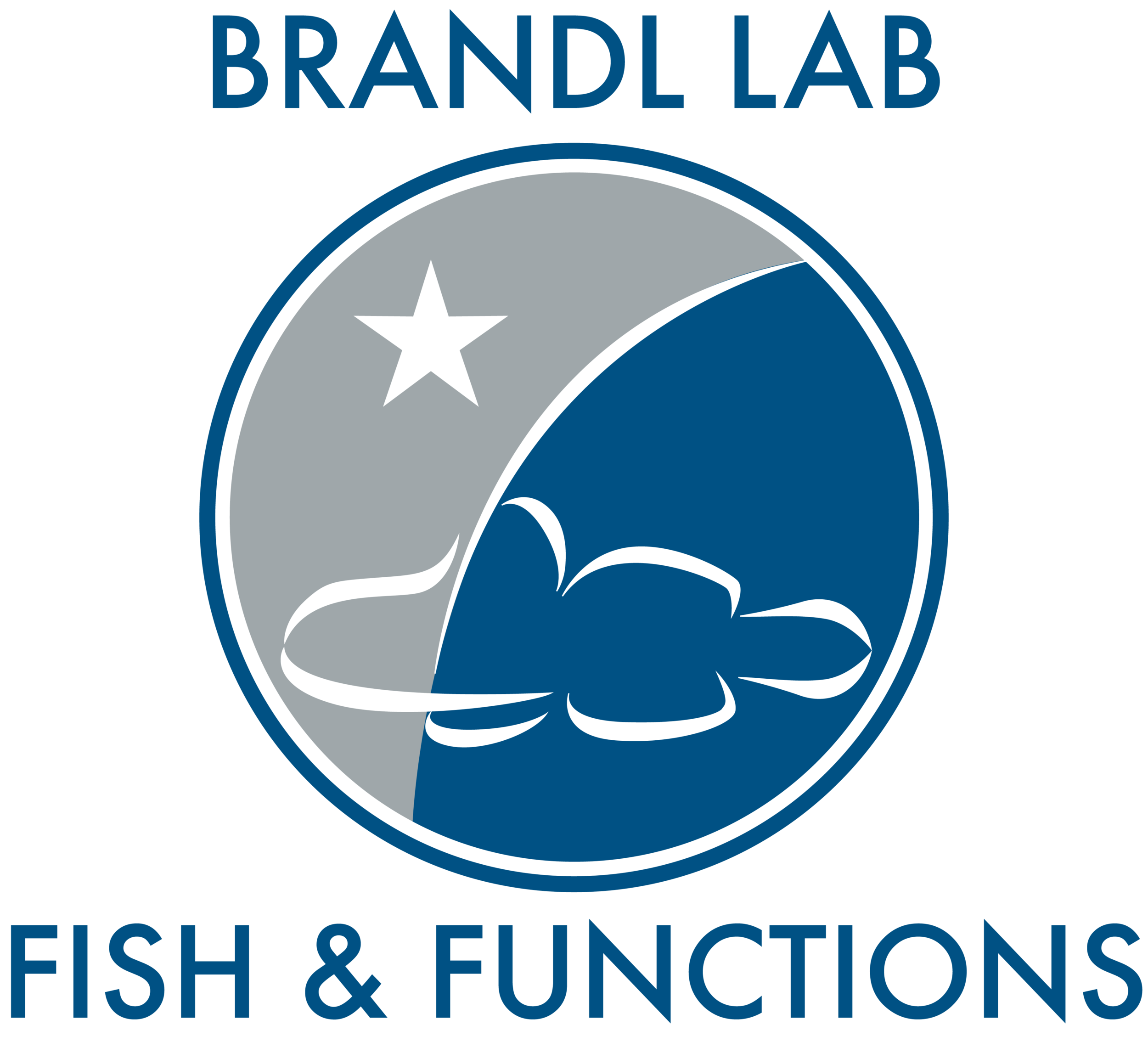 Brandl Lab | Fish &amp; Functions