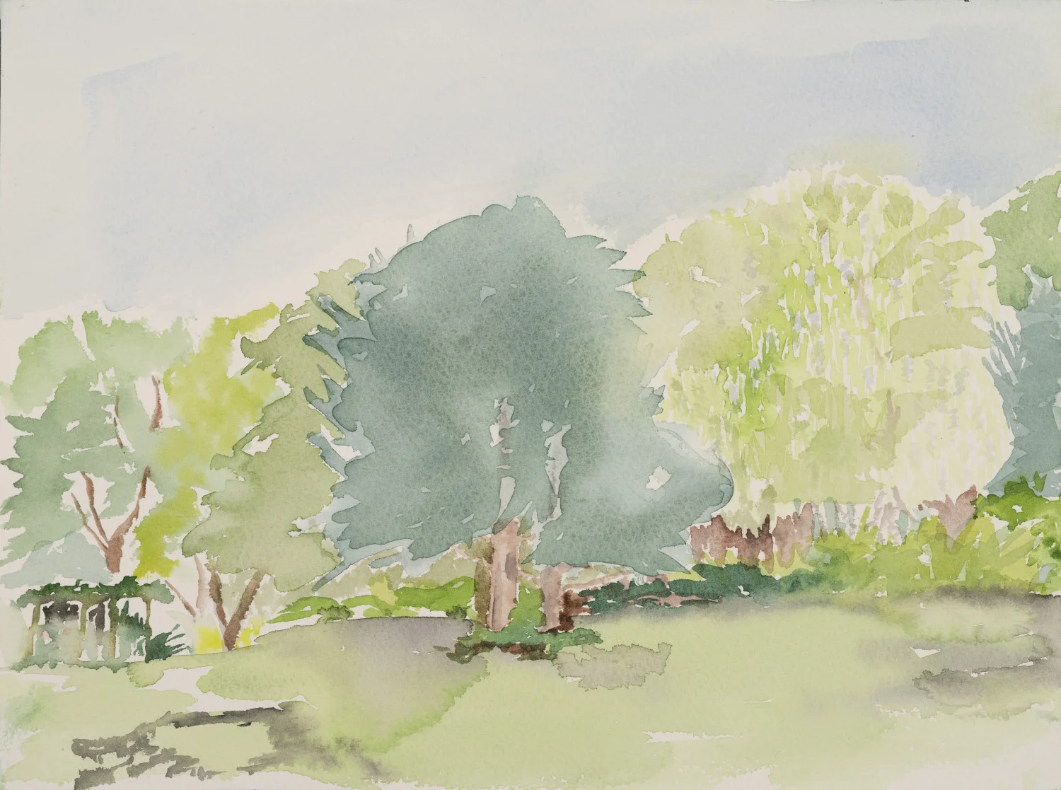 Springs Garden - Wisteria in May