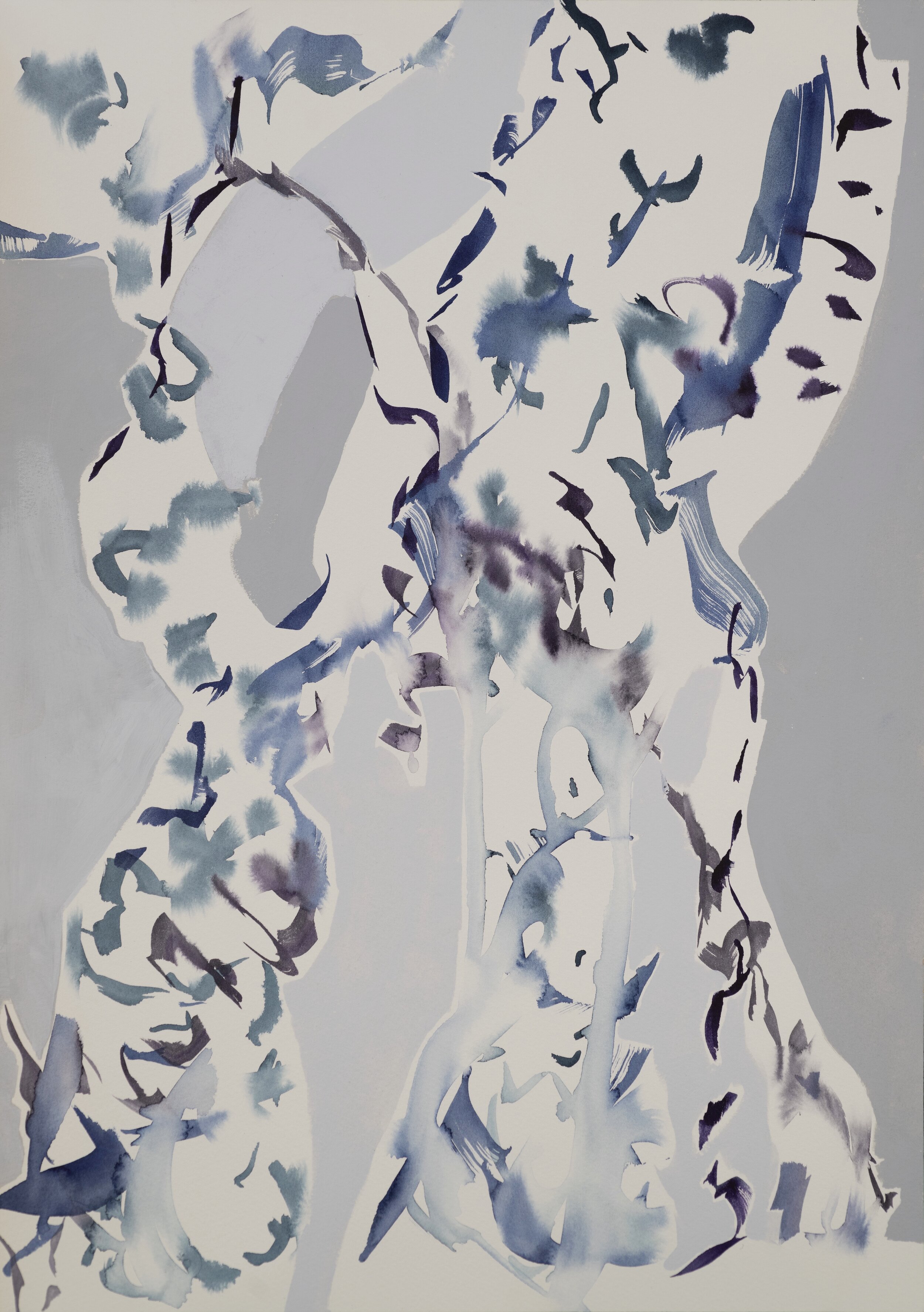 Wisteria