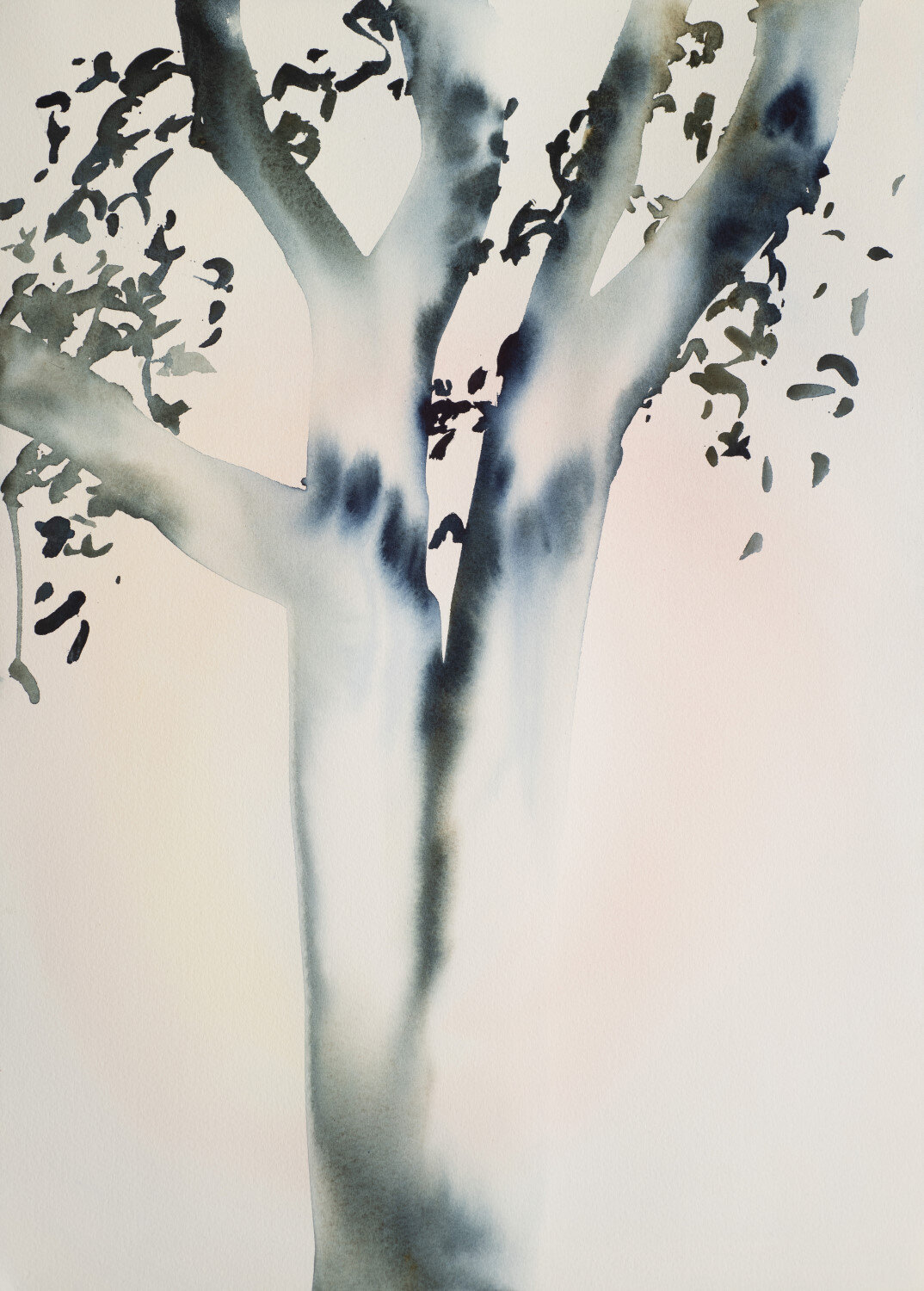 First Light