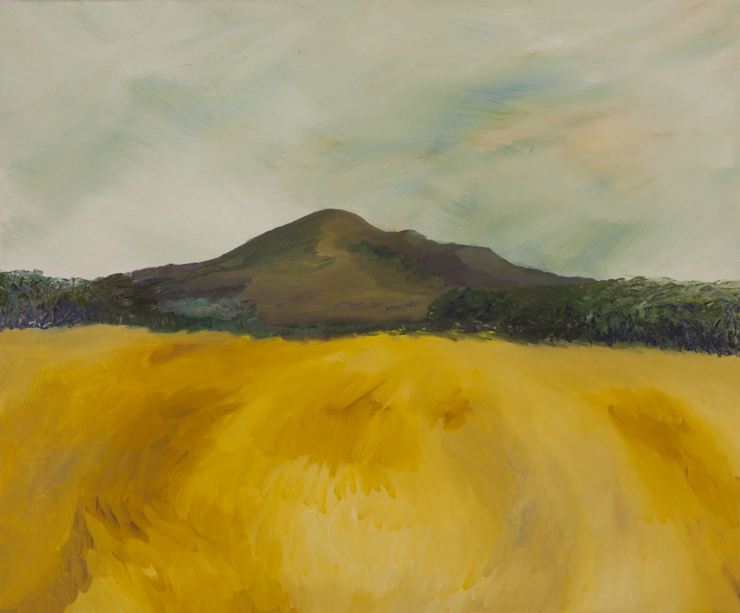 South Cantebury, New Zealand