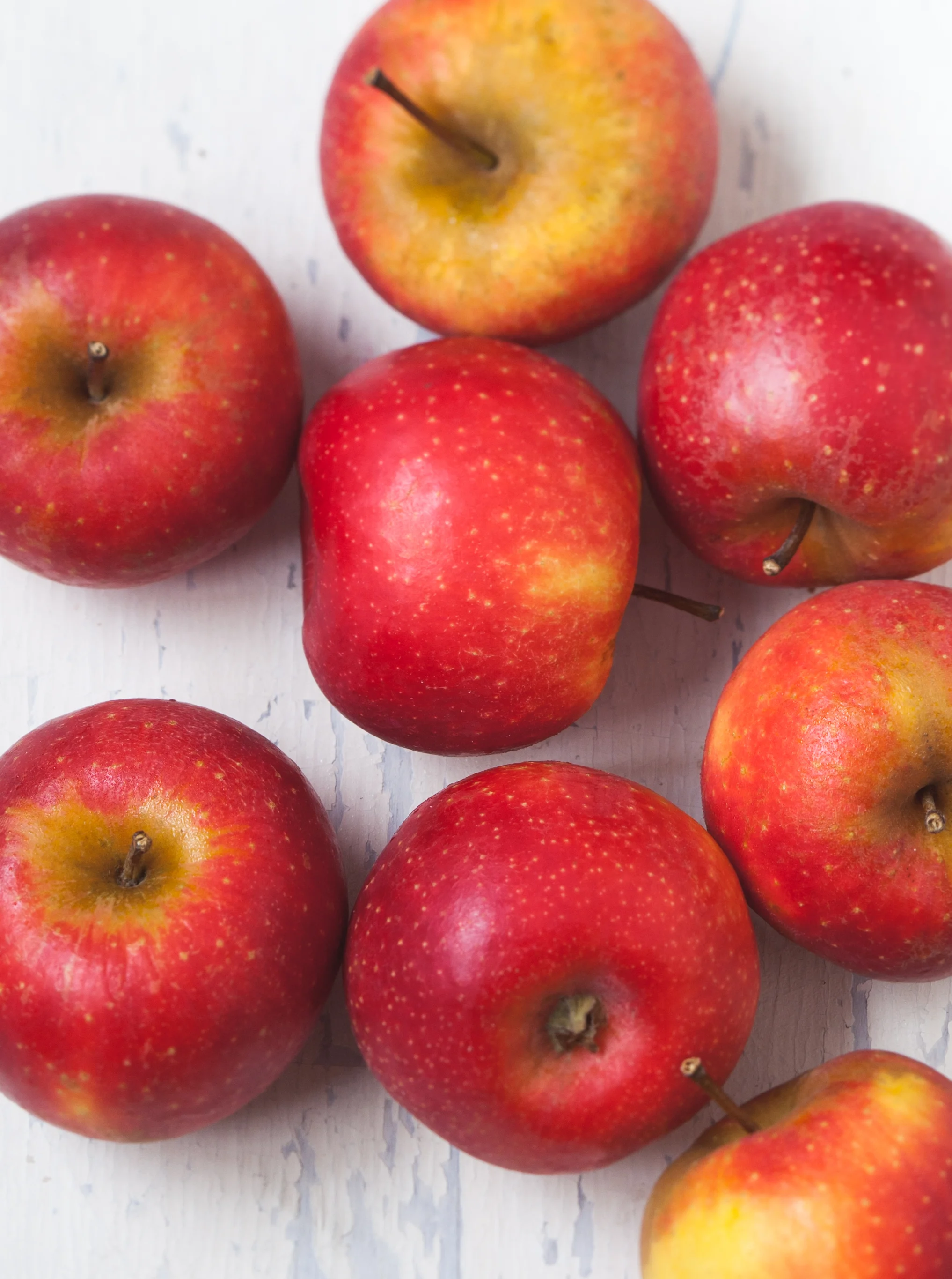 pomme-illustr.jpg