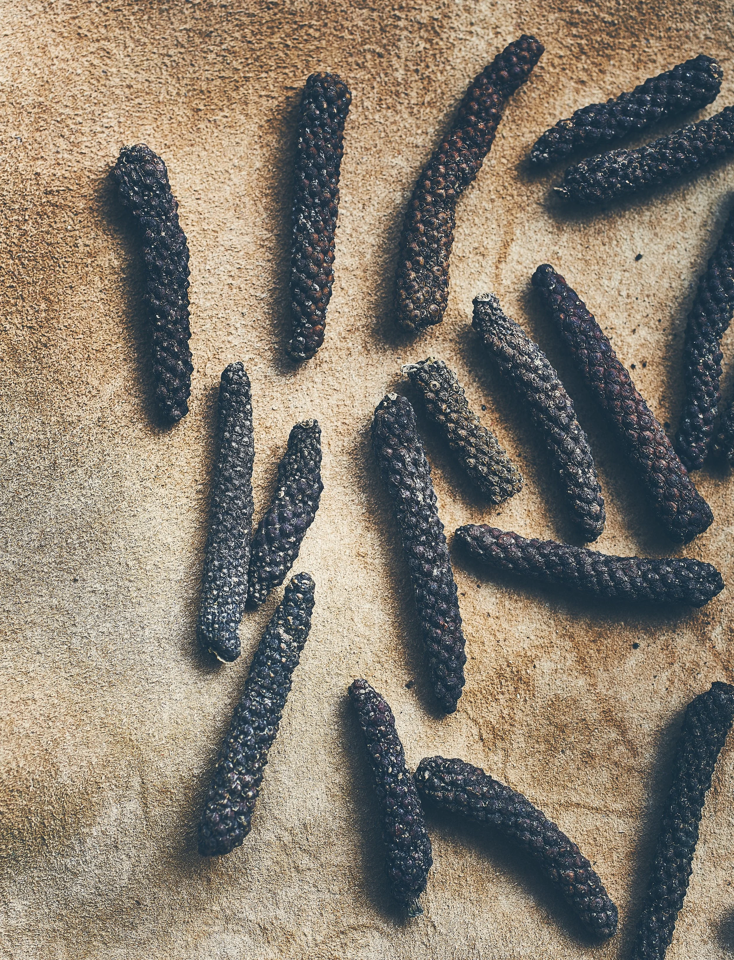 POIVRE LONG ROUGE.jpg