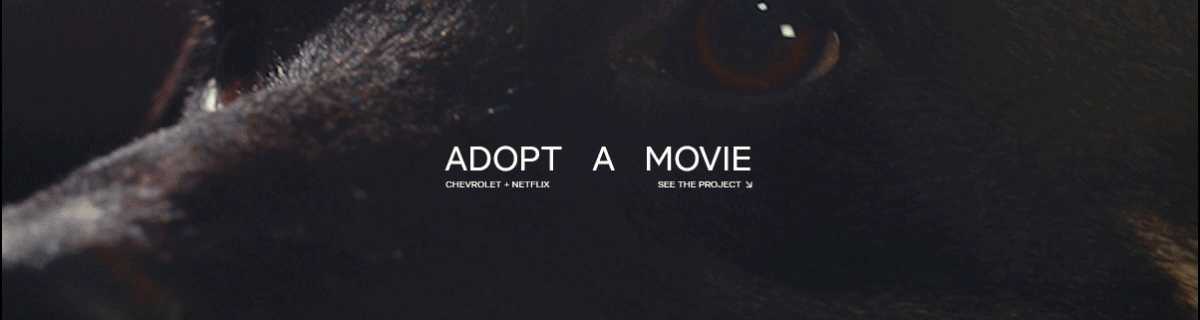 fabiano goncalves adopt.gif