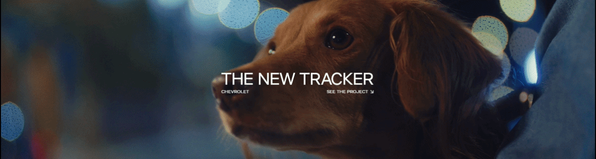 fabiano goncalves tracker.gif