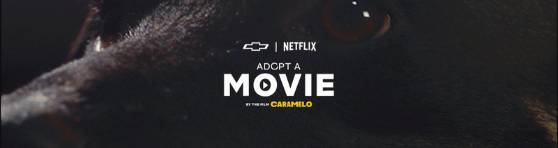 fabiano goncalves adopt a movie.gif