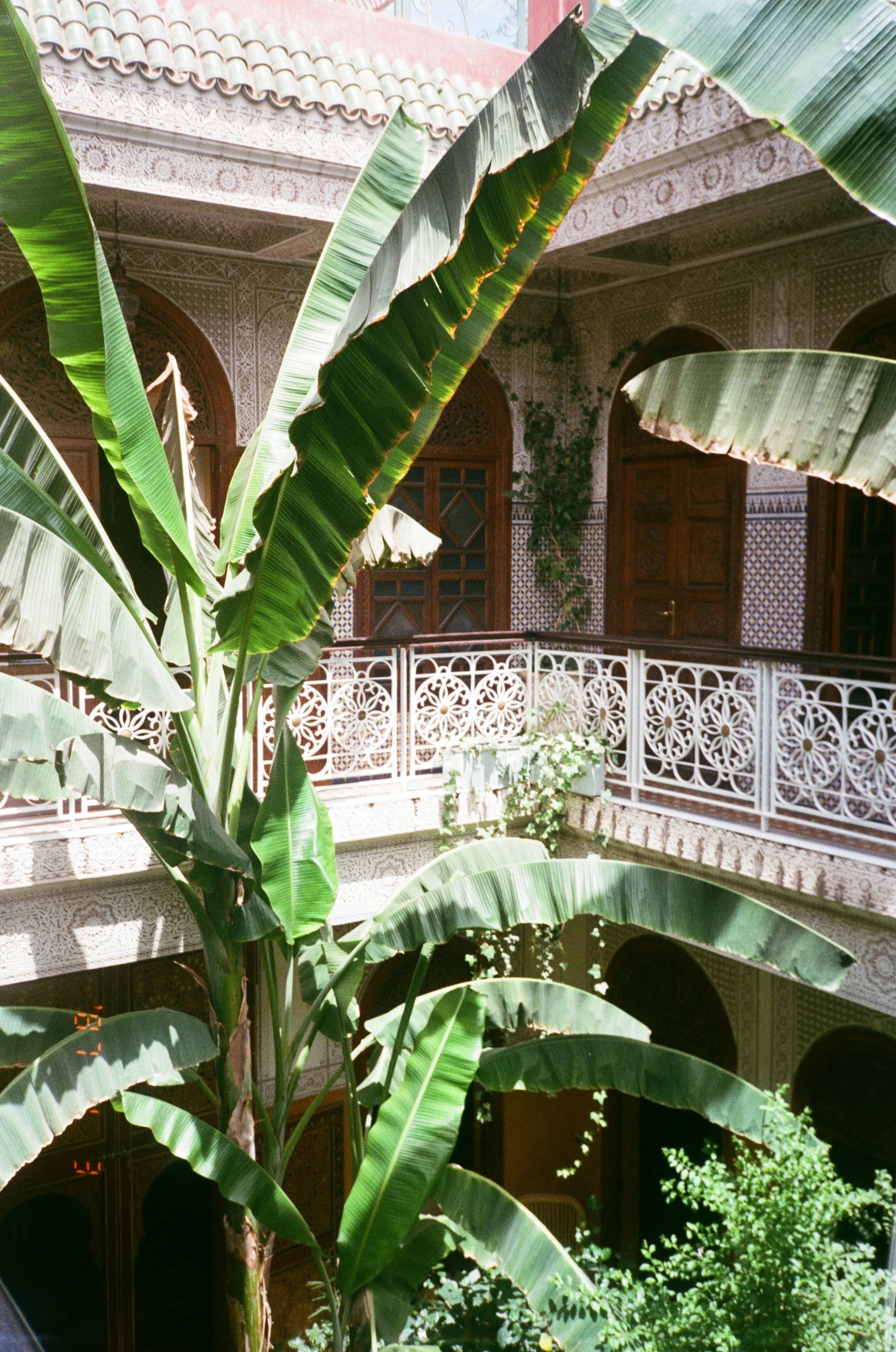 Riad Jardin Secret Marrakech