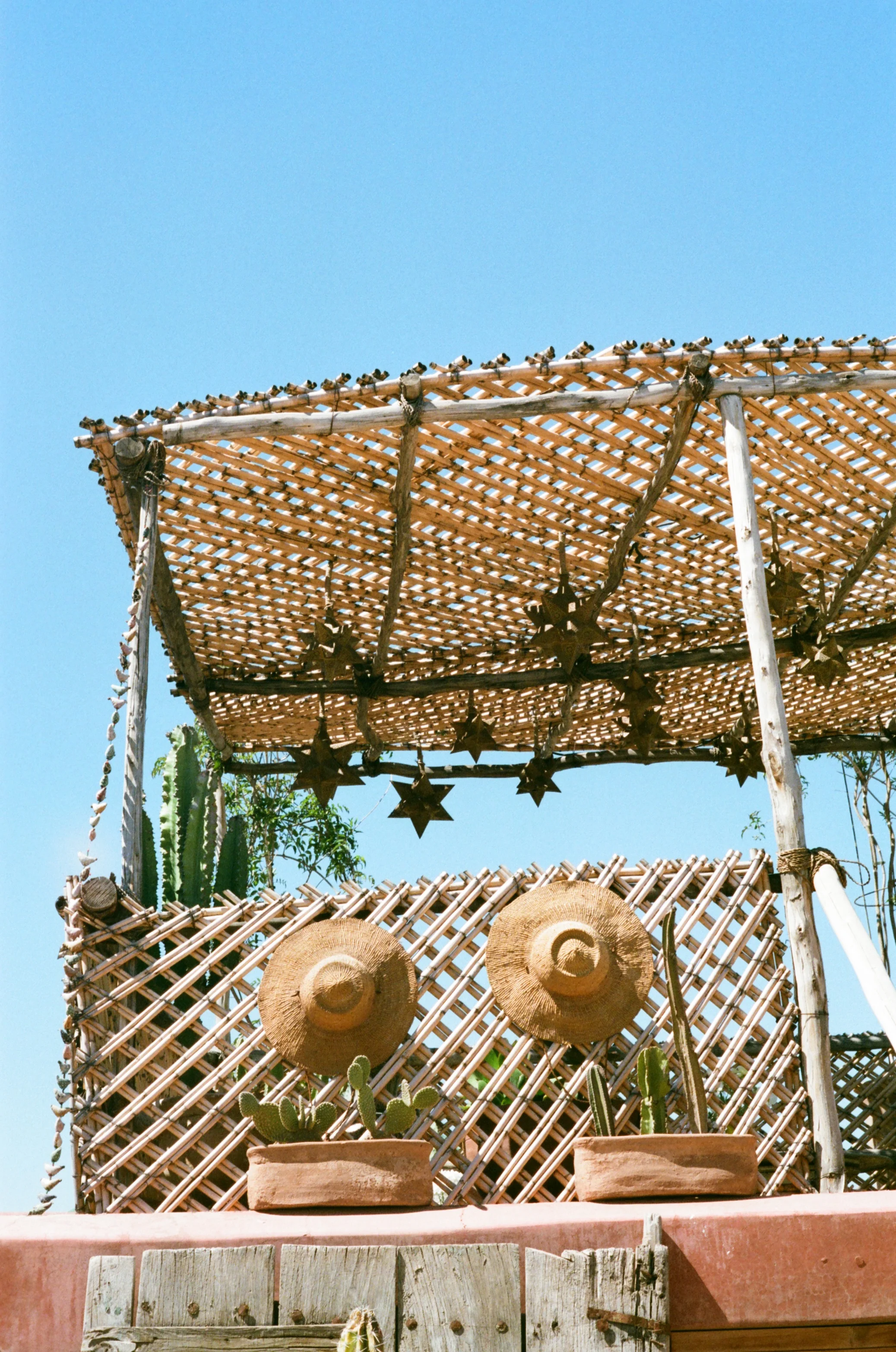 0003_4.jpg