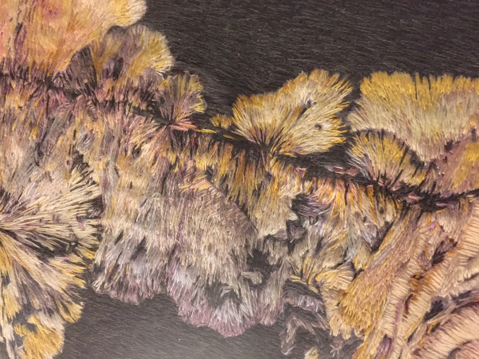 Fungus 2 final detail.JPG