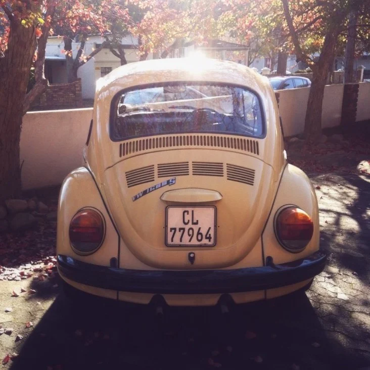Stellenbosch @_bearista