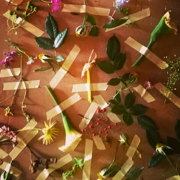 Amy's 'science lab' floral collection