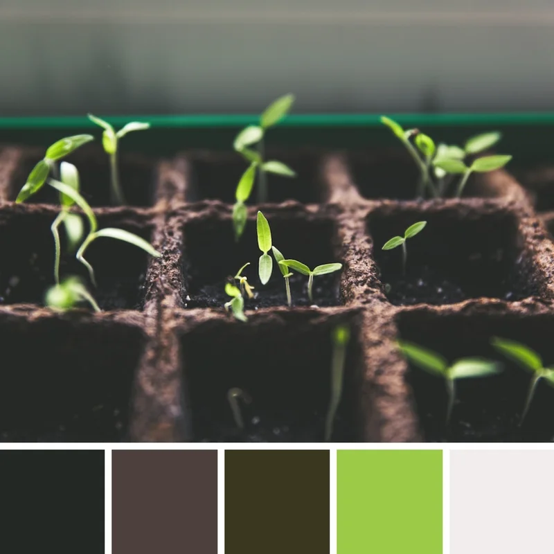 Harry Gwala Agri Colour Palette.jpg