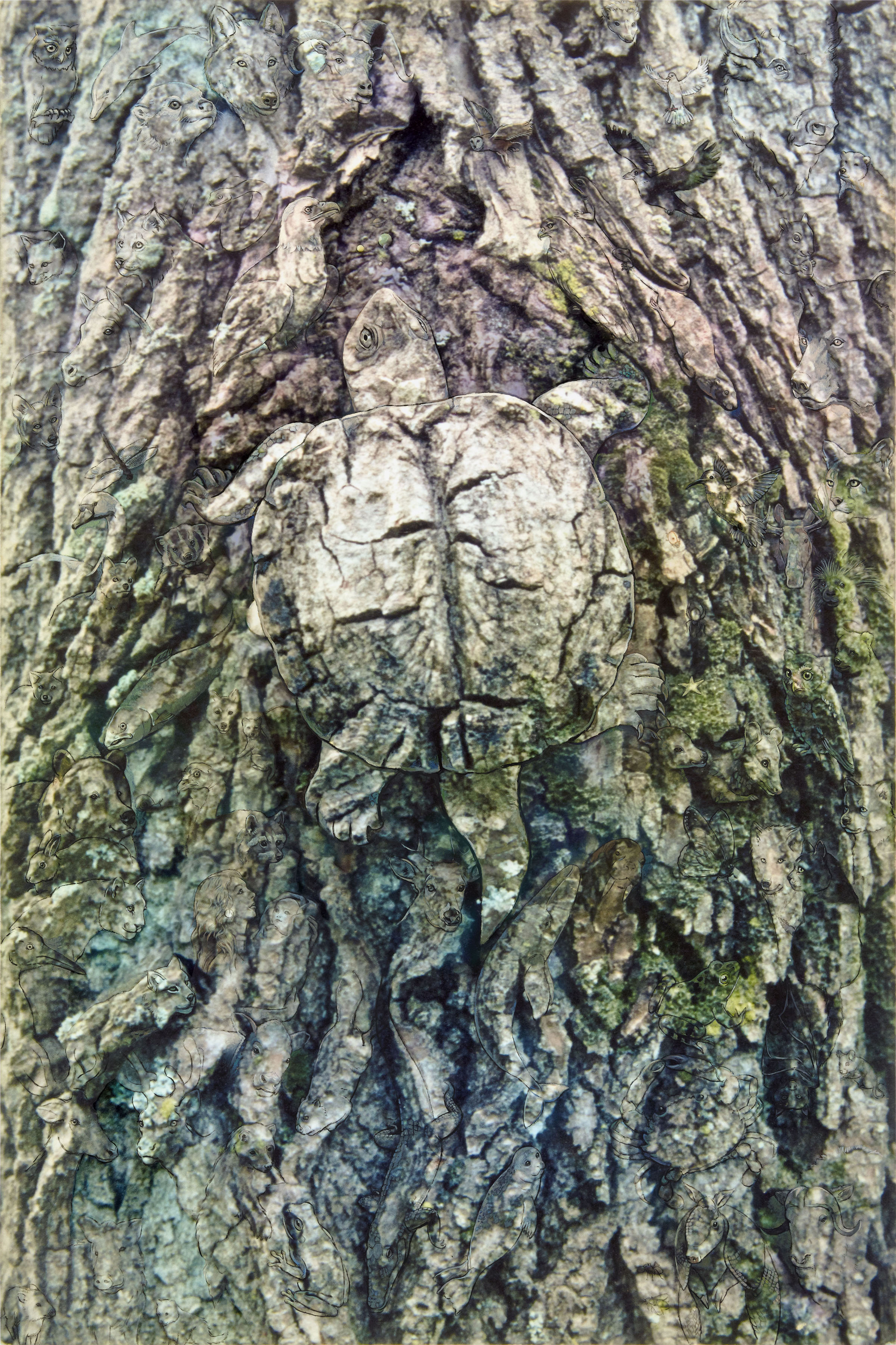 •New Mother Earth copy.jpg
