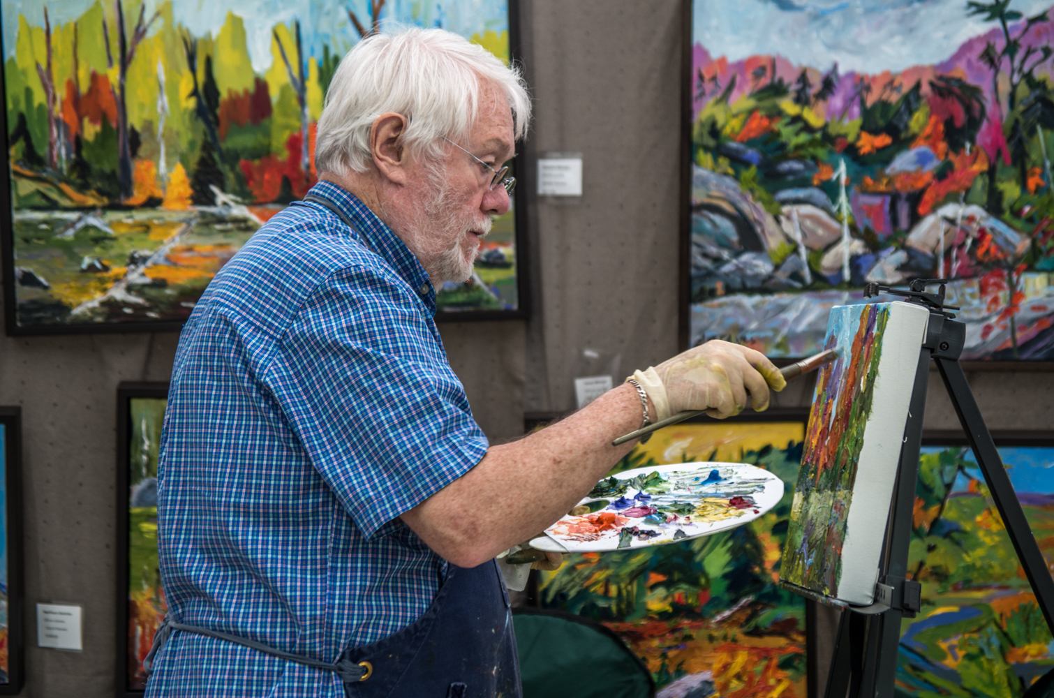 Artist Don Graves-Art Fest-Kingston-Photographer-Shirley Aubin (4).jpg