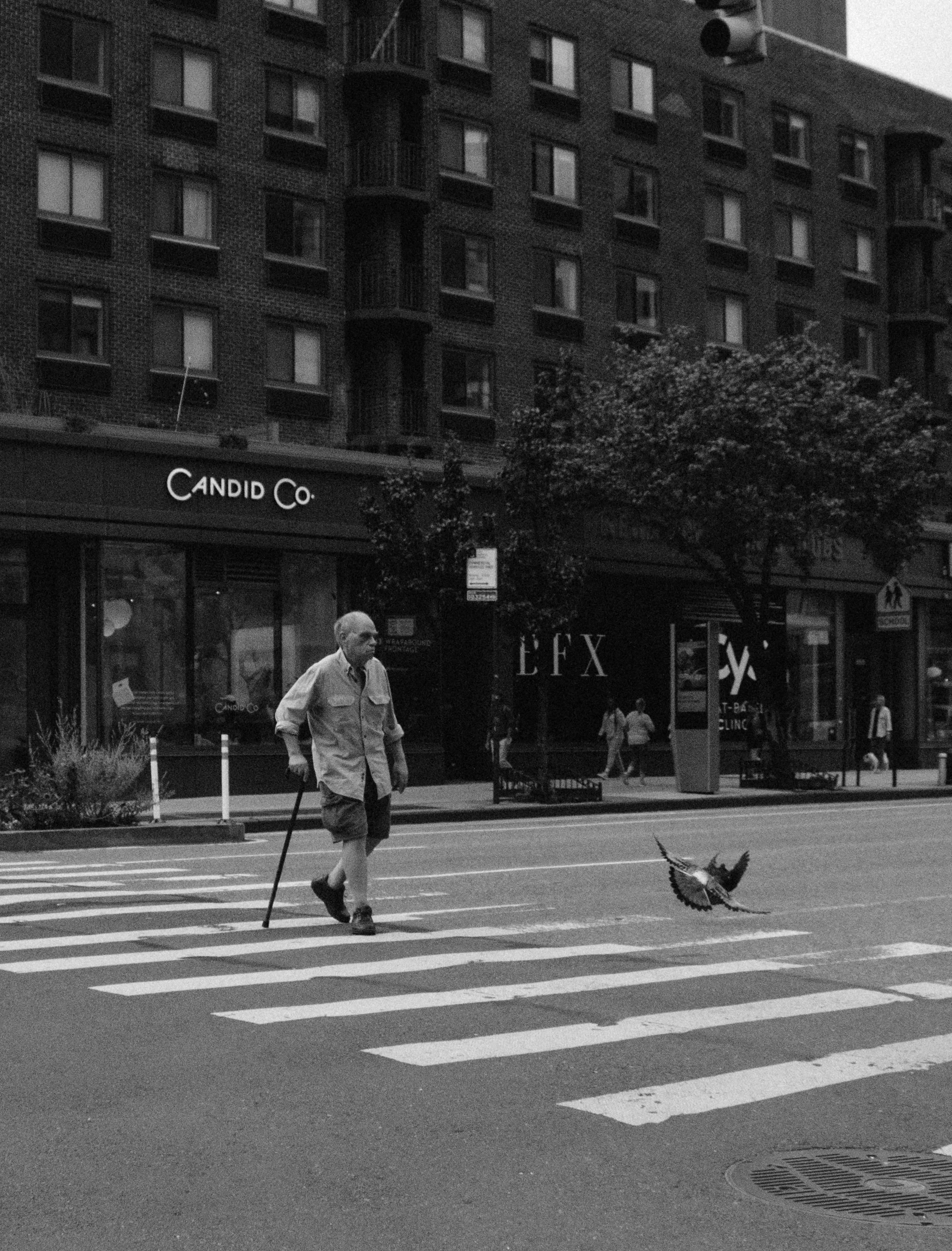 NYC-5.jpg