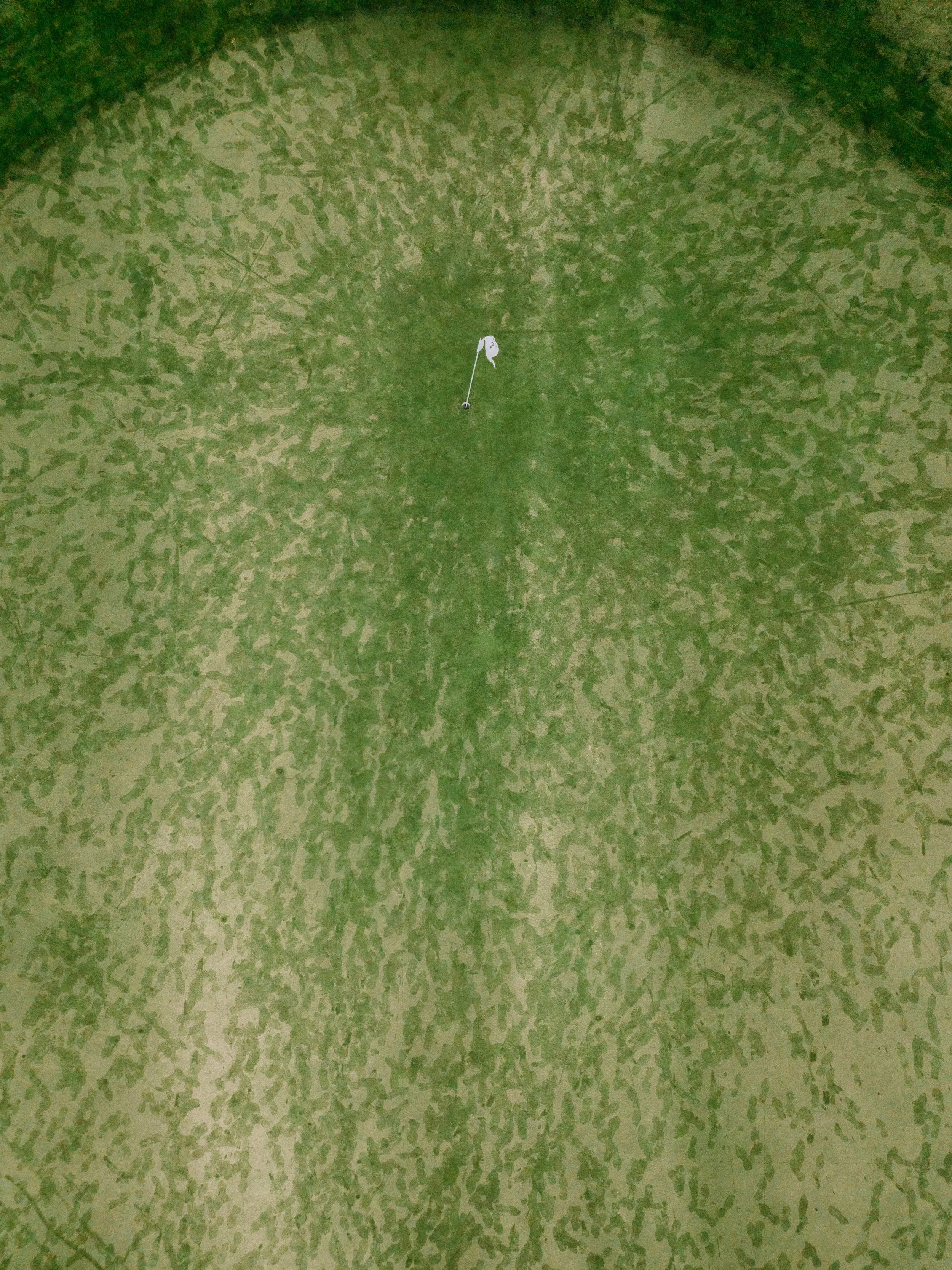 DJI_0850-2.jpg