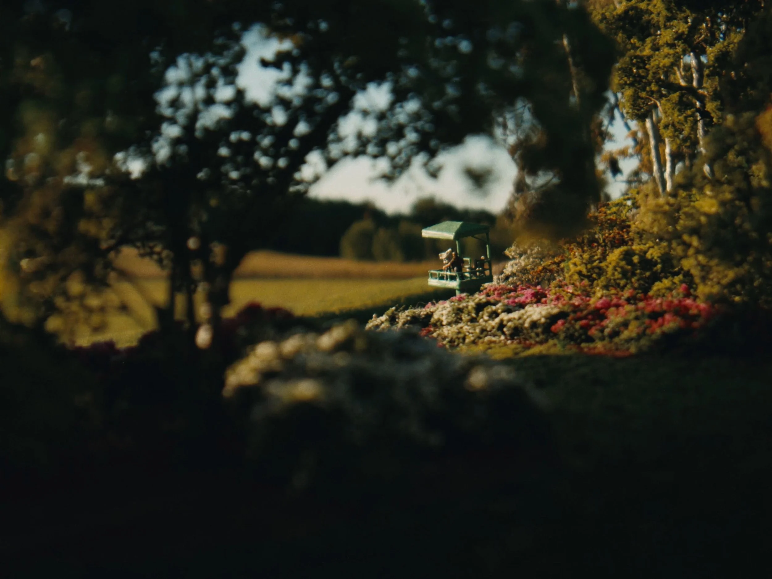 MicroLandscapes-V004_MASTER_4_3-Ratio_00014309.jpeg
