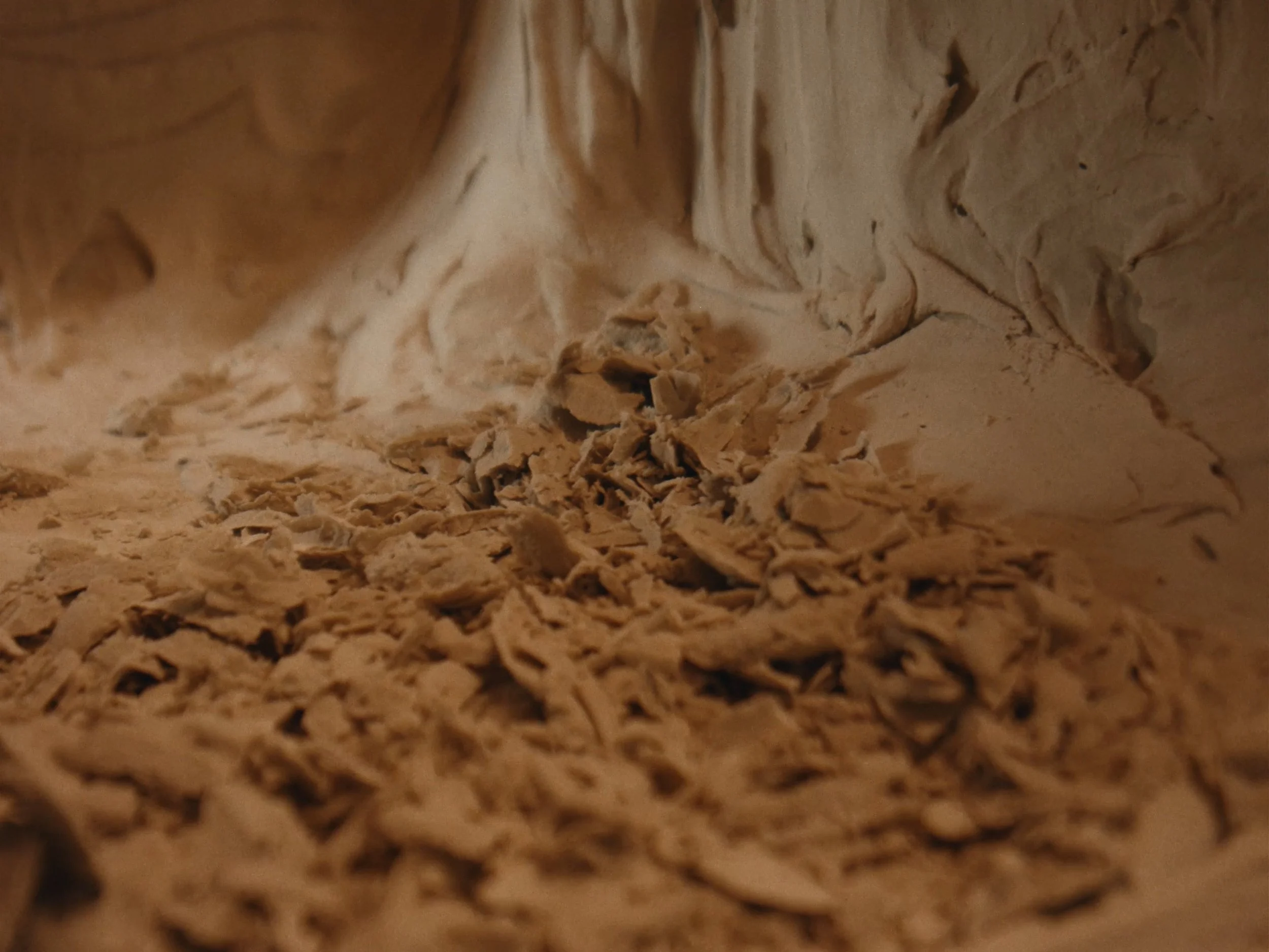 MicroLandscapes-V004_MASTER_4_3-Ratio_00005601.jpeg