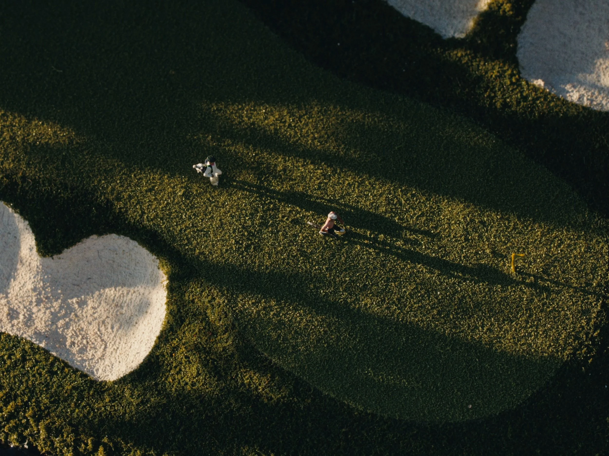 MicroLandscapes-V004_MASTER_4_3-Ratio_00002304.jpeg