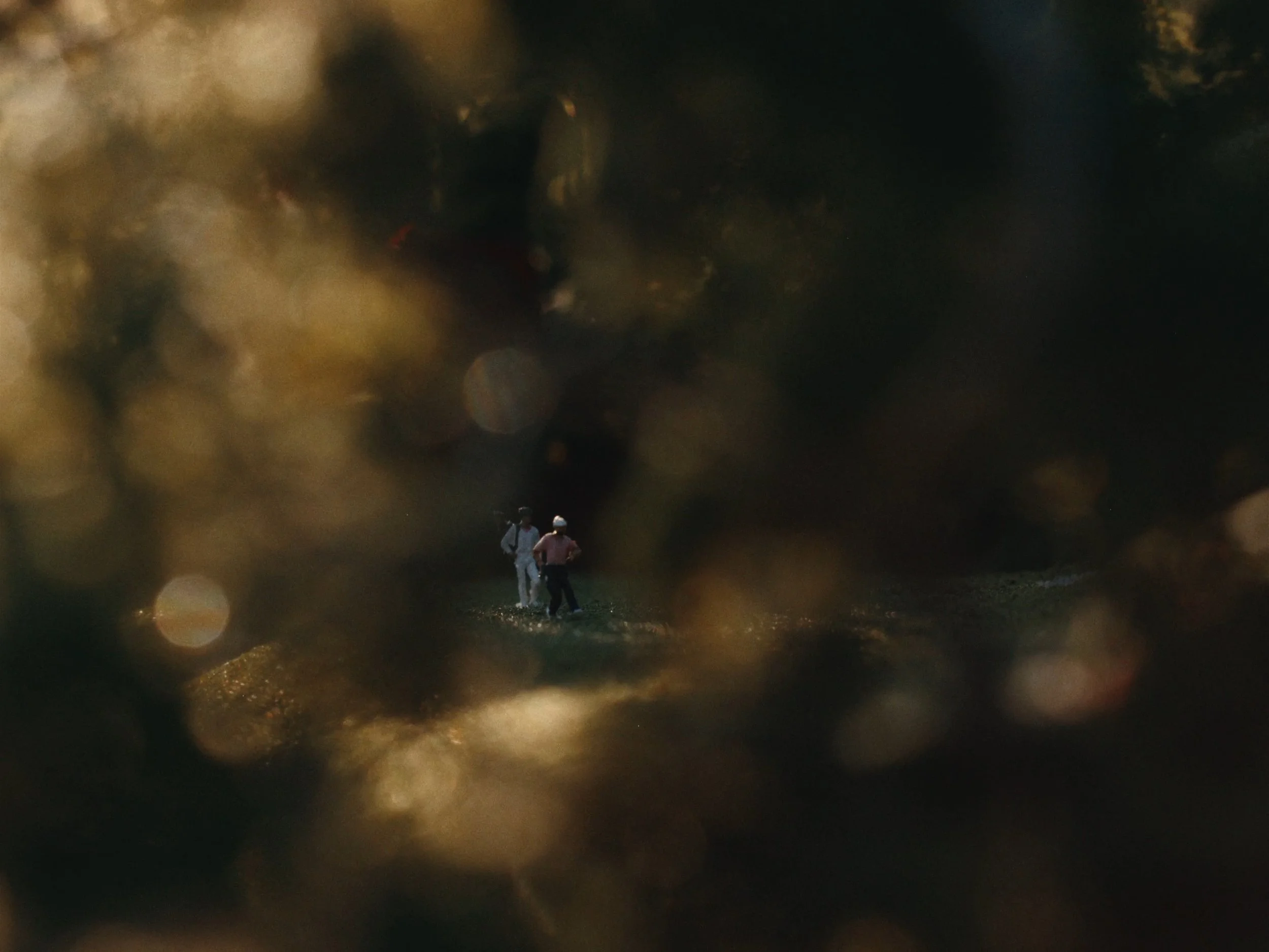MicroLandscapes-V004_MASTER_4_3-Ratio_00001722.jpeg