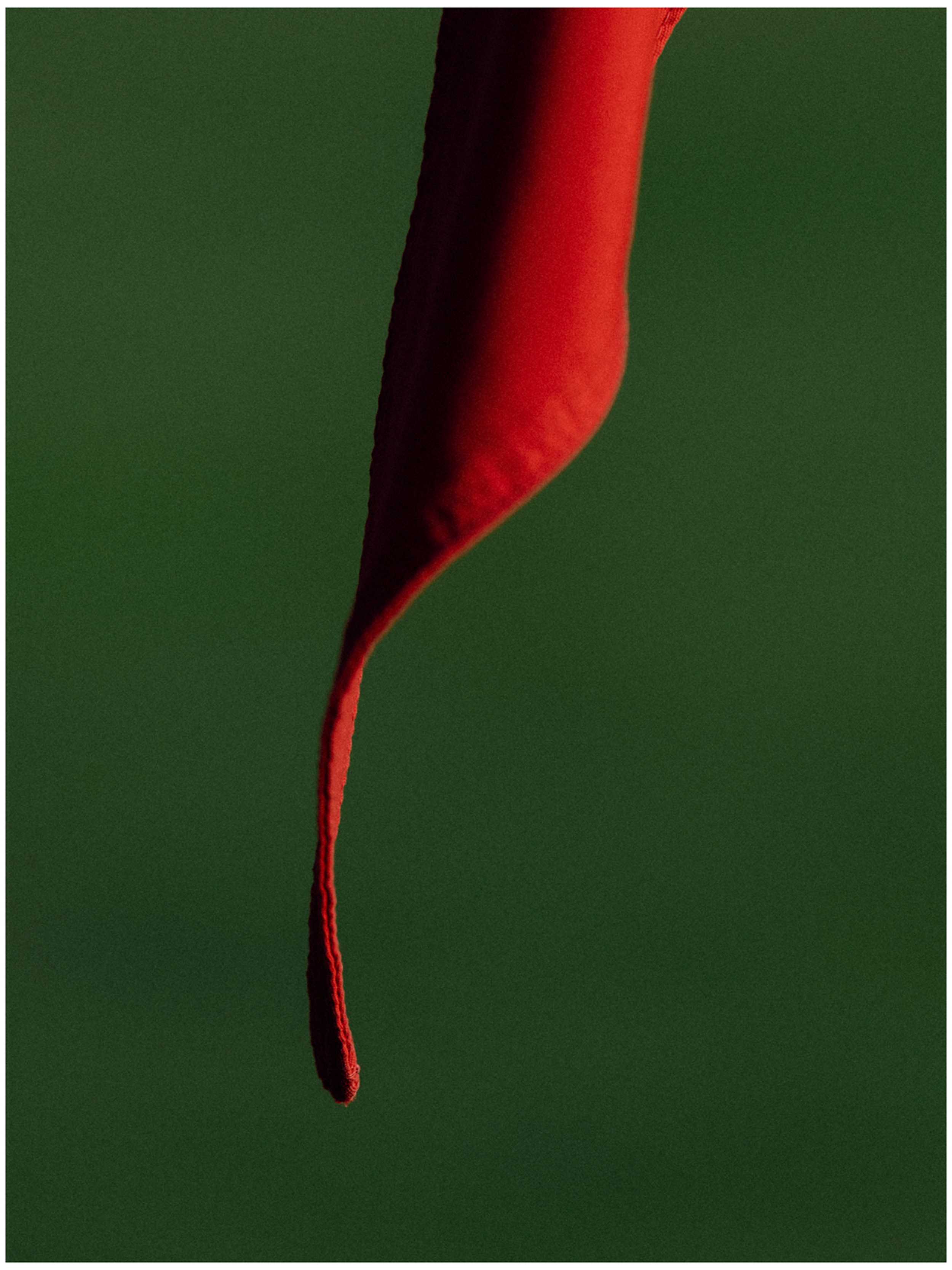 IMG_2932_border 1.png