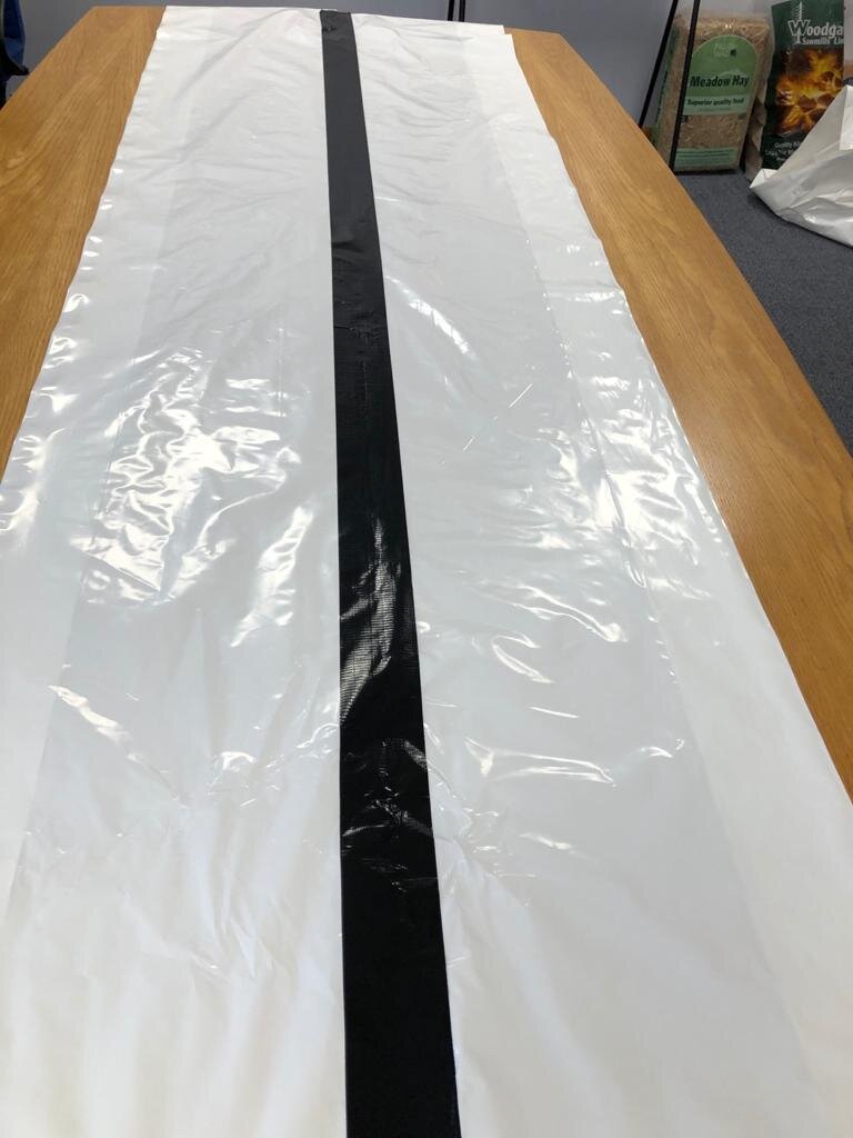 Body Bags 3.jpeg