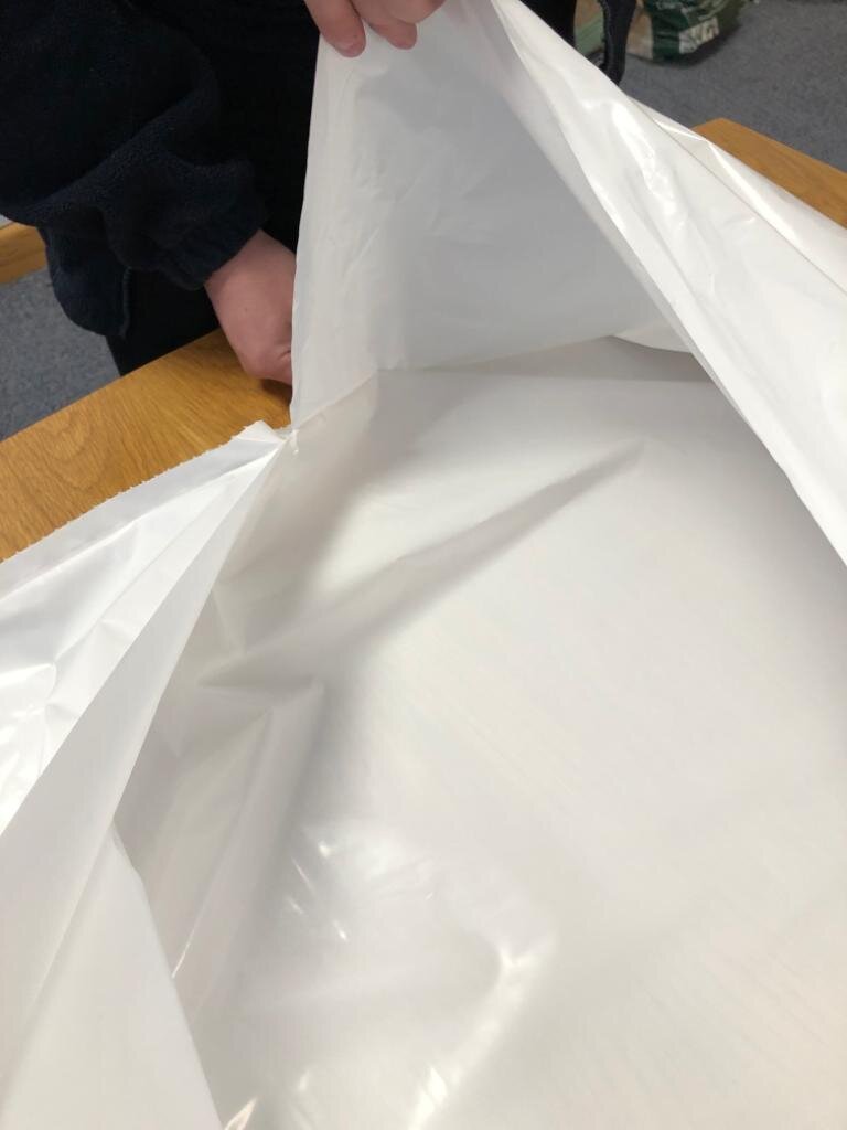 Body Bags 5.jpeg