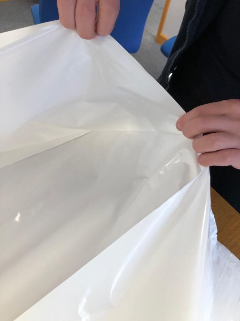 Body Bags 6.jpeg