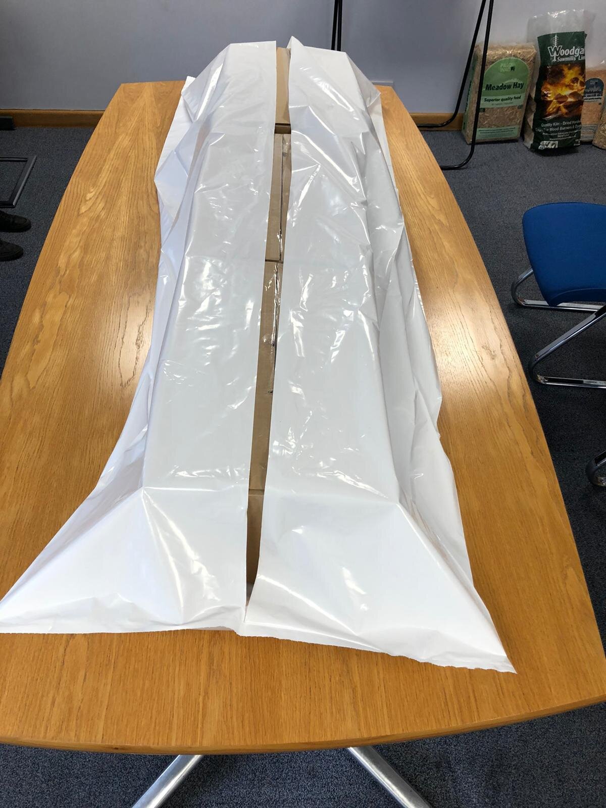 Body Bags 11.jpeg