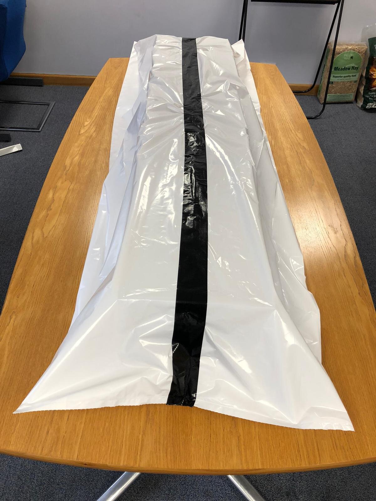 Body Bags 12.jpeg