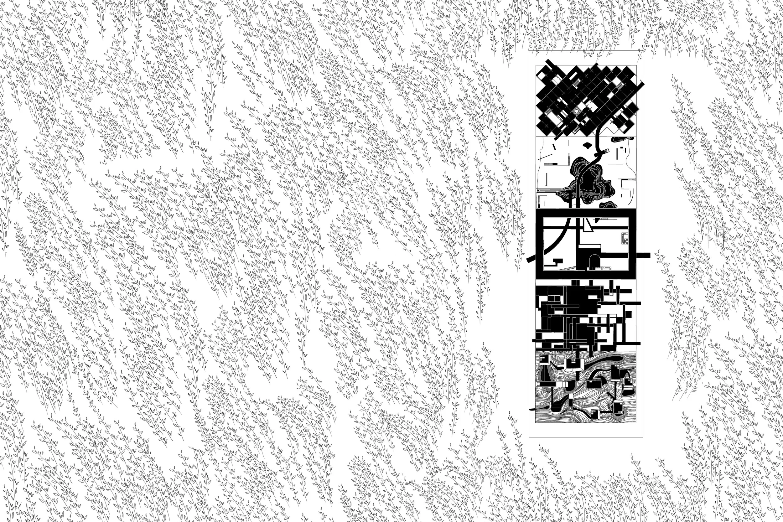 overgrown35.jpg