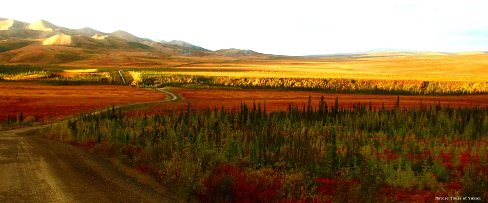 Dirt Road.jpg