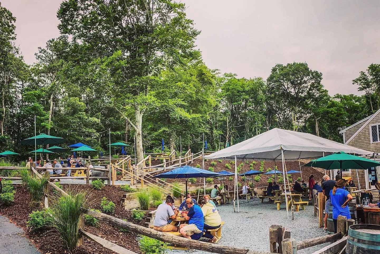 Katie Brown Trio Live 2pm 