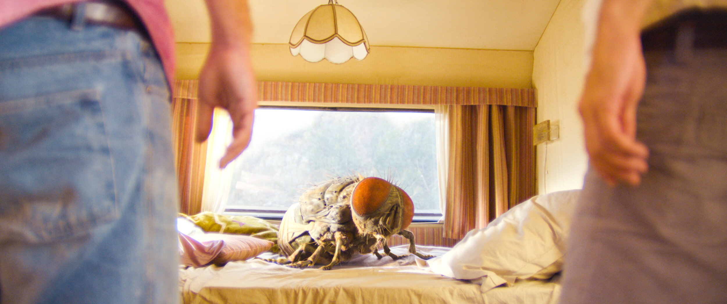 04. MANDIBULES_200_mouche_VENISE.jpg