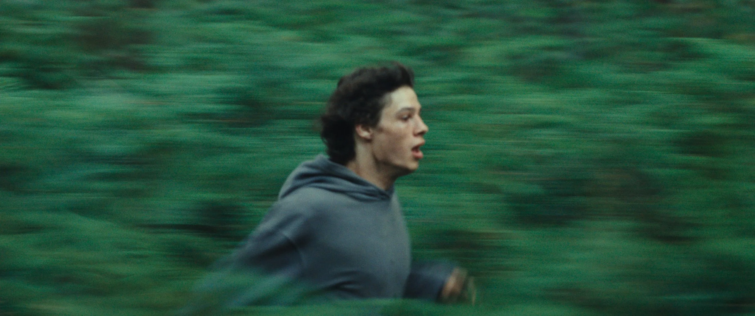 4096x1716 RegneAnimal_Photogramme_TIFF-16bits_Rec709G24_4096x1716_01856184(ÚtalonnÚ montÚ).jpeg